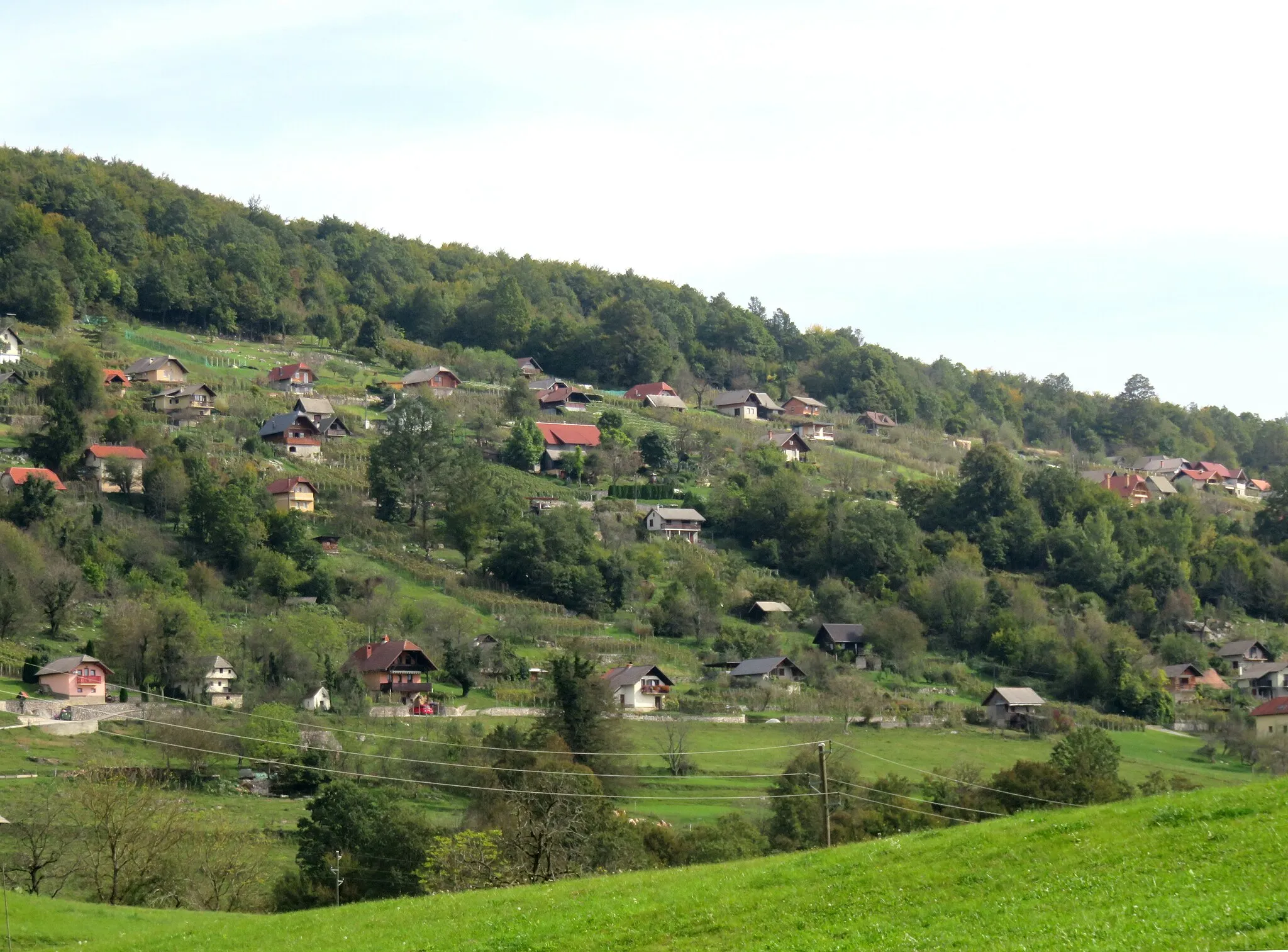 Photo showing: Boršt pri Dvoru, Municipality of Žužemberk, Slovenia