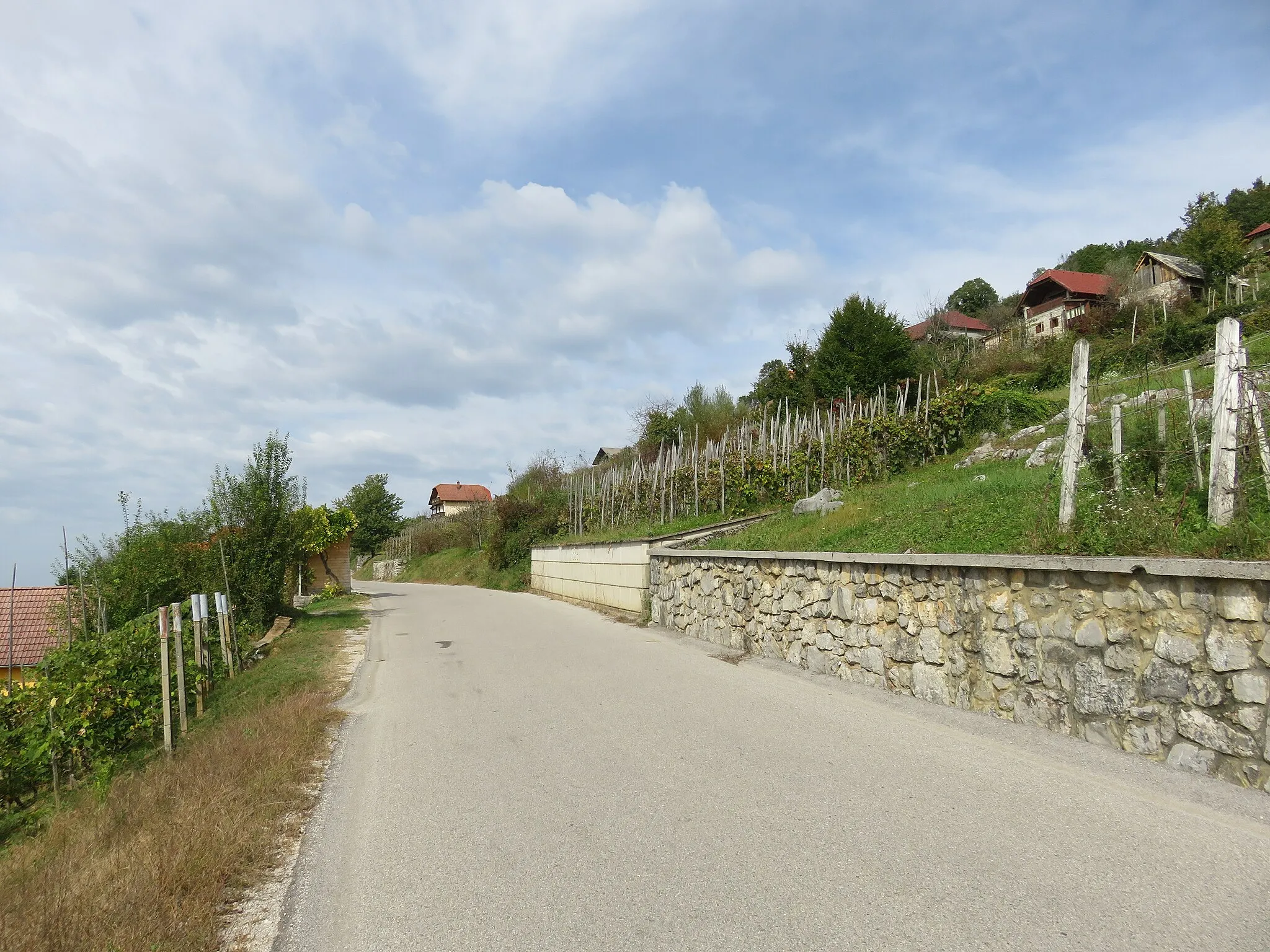 Photo showing: Boršt pri Dvoru, Municipality of Žužemberk, Slovenia