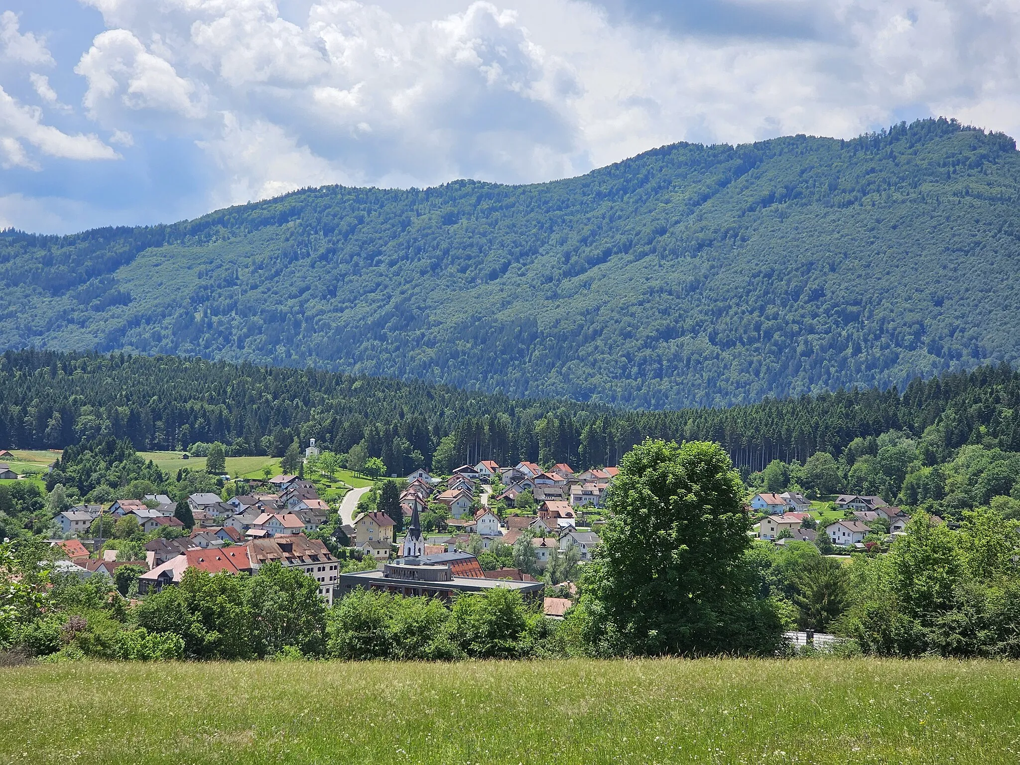 Photo showing: dolenjske toplice from cviblje