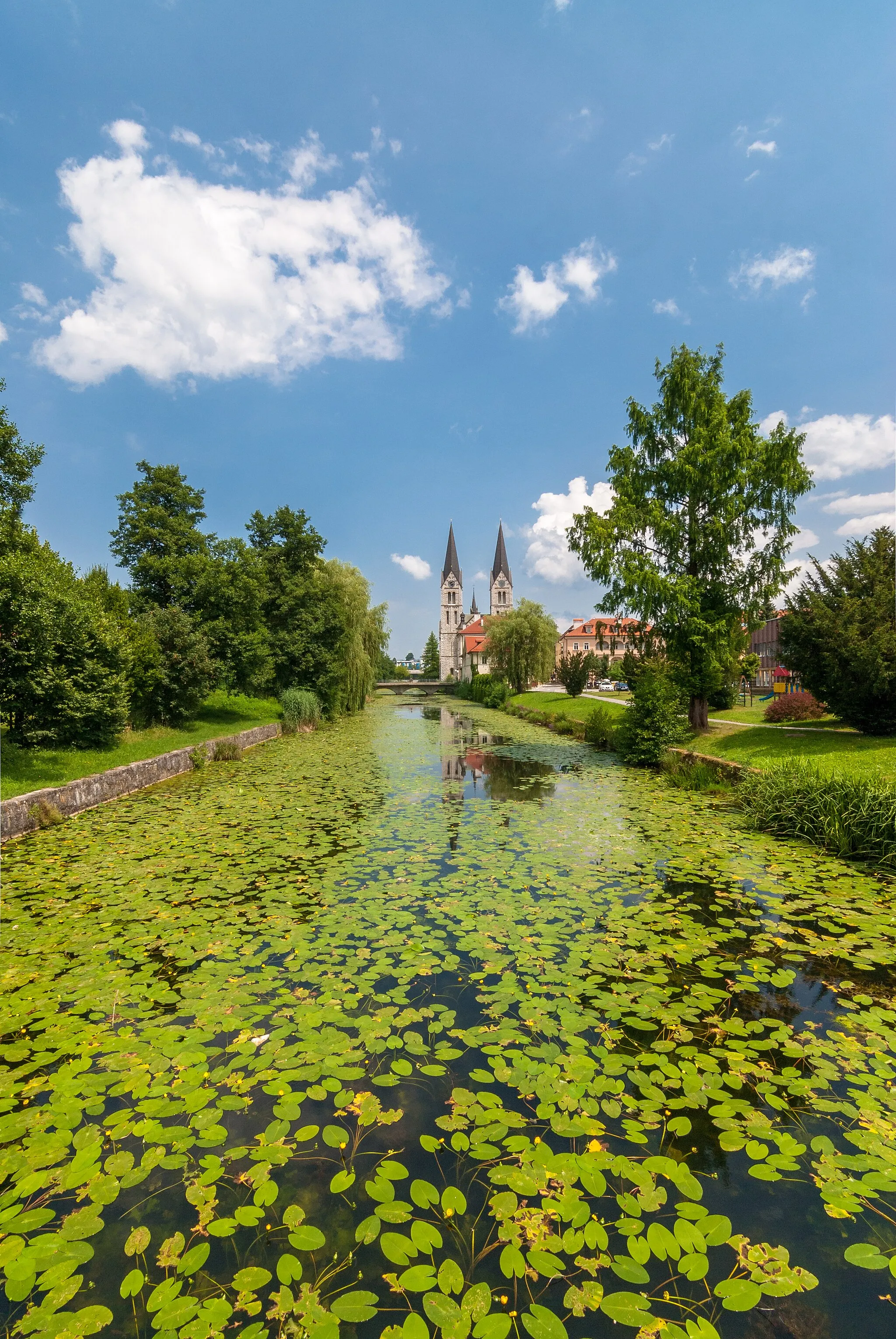 Photo showing: River Rinža full of water-lilies in Kočevje, Slovenia