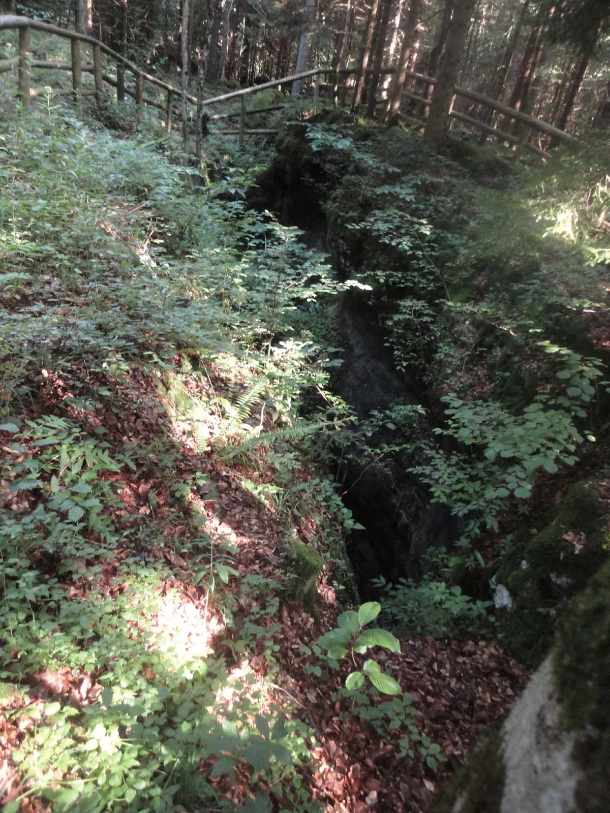 Photo showing: Double Cave near Zinc Cross (Dvojno brezno pri Cink križu) in Kočevski Rog (Slovenia) at the site of mass murder of Slovenian domobrans, Ustasha and Chetniks by Jugoslav partisans after WWII (May and June 1945).