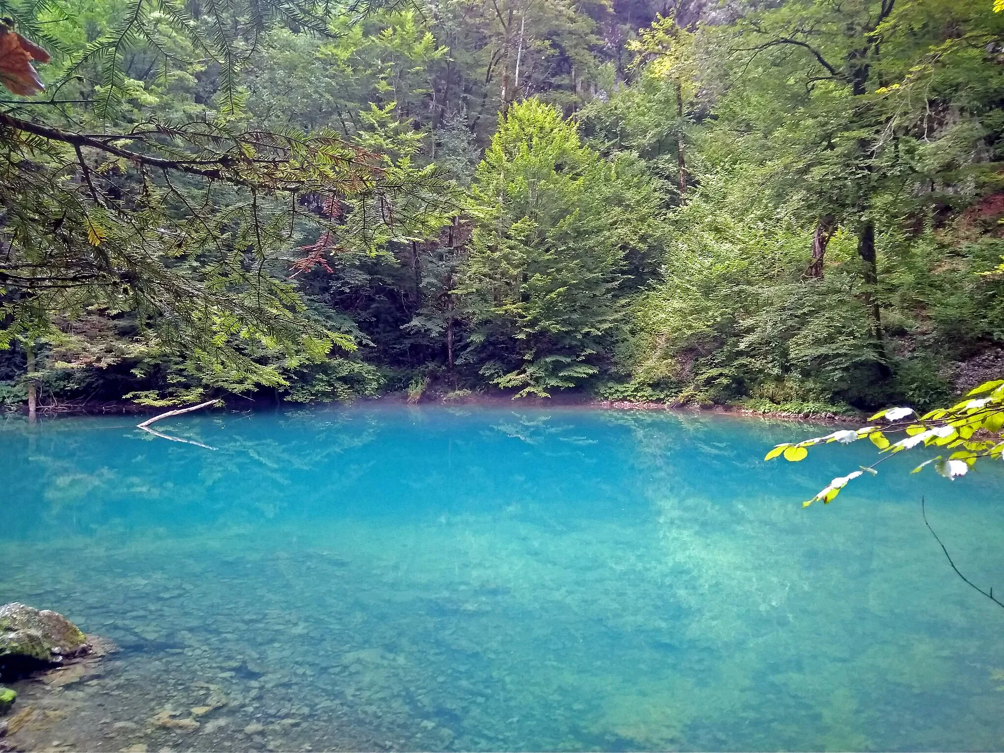 Photo showing: spring of river Kupa in Risnjak National Park, Gorski Kotar, Croatia