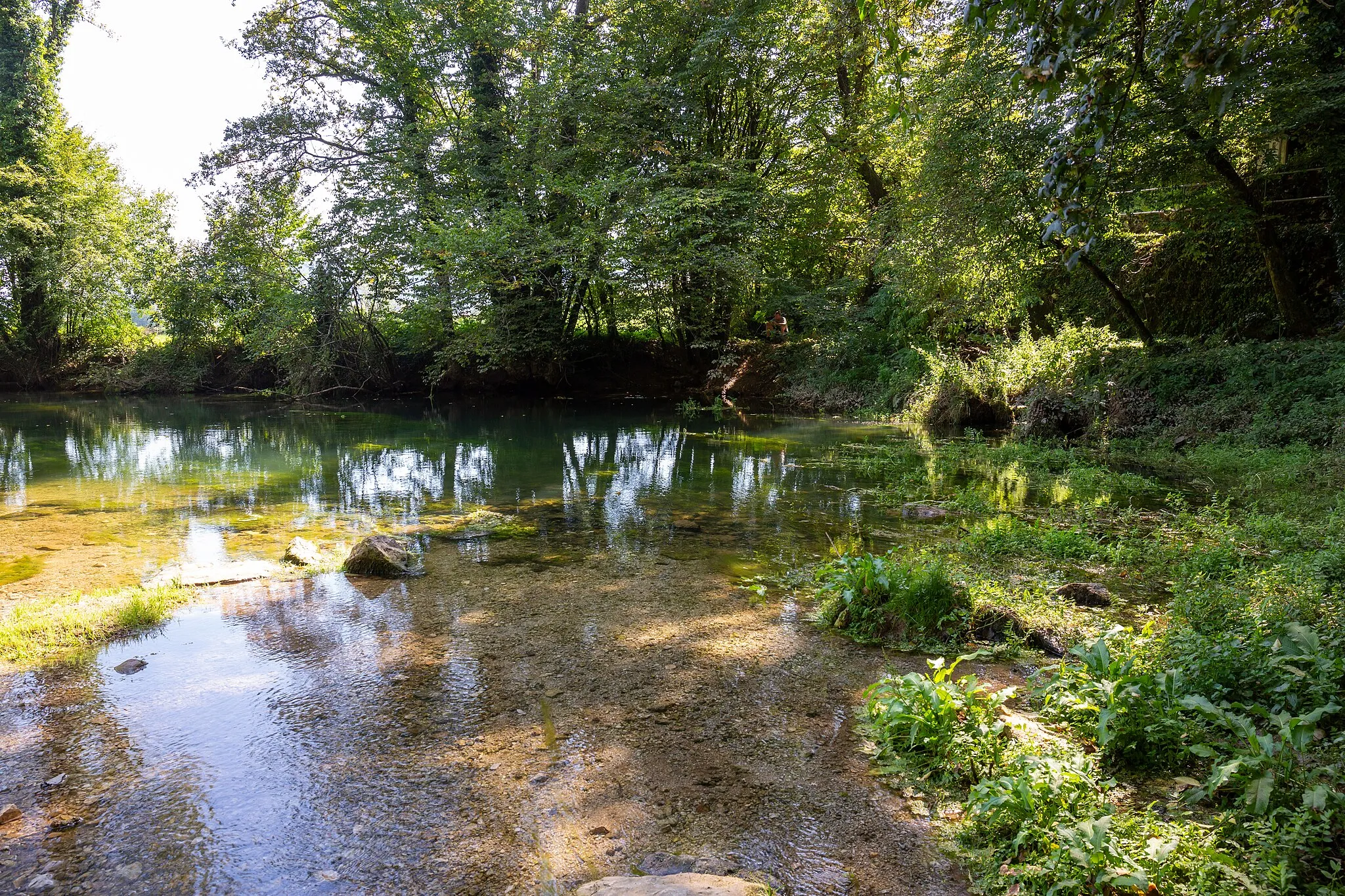 Photo showing: Spring of the Krka River, Slovenia.