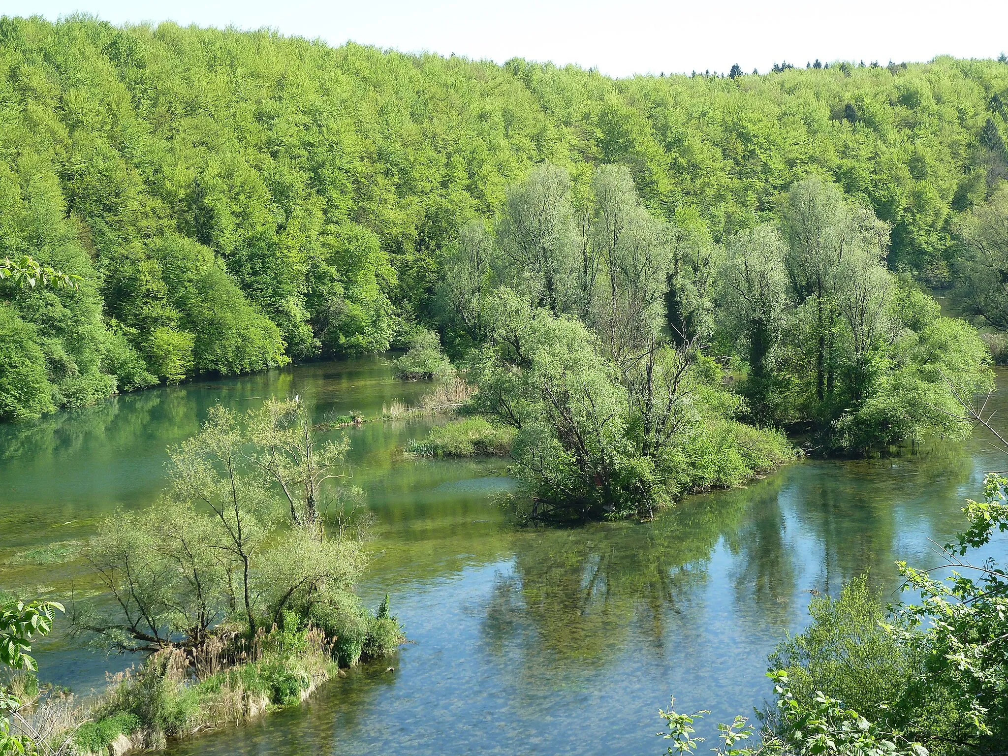 Photo showing: Tufa islands in Krka river upstream from Otočec castle.