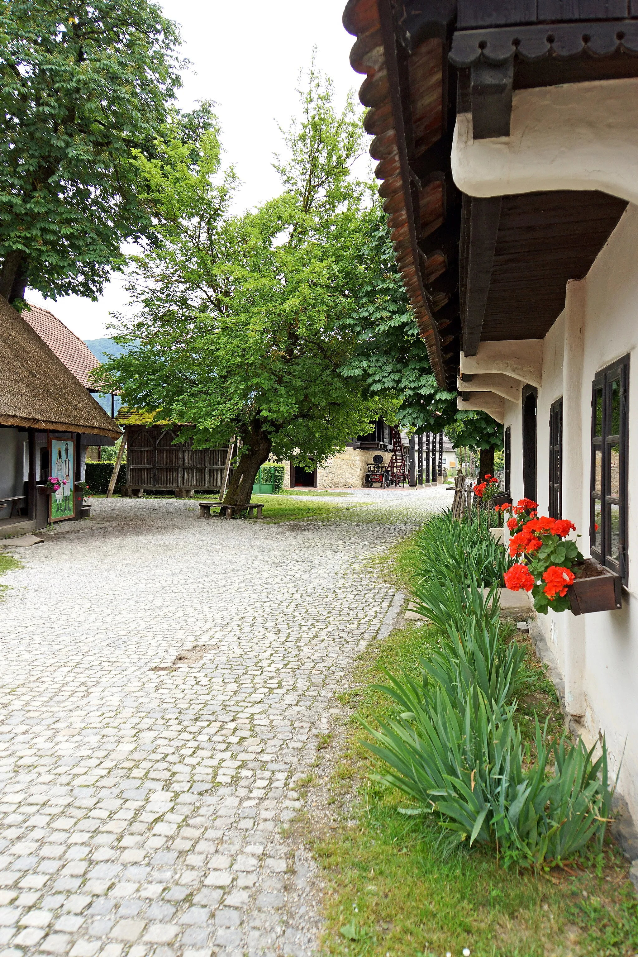 Photo showing: Kumrovec is a village in the northern part Croatia. The Kumrovec village has only 269 people.
The old part of Kumrovec comprises the Ethnological Museum with 18 village houses, displaying permanent exhibitions of artifacts related to the life and work of Zagorje peasants in the 19th/20th century. The village is small but was of great popularity in the former Yugoslavia.

The reconstruction and decoration of these houses started in 1977. So far 40 houses and other farm-stead facilities have been restored, which makes Staro Selo the most attractive place of this kind in Croatia. Visitors may see permanent ethnological exhibitions such as the Zagorje-style Wedding, the Life of Newly-weds, From Hemp to Linen, Blacksmith's Crafts, Cart-wright's Craft, Pottery, From Grain to Bread, etc.