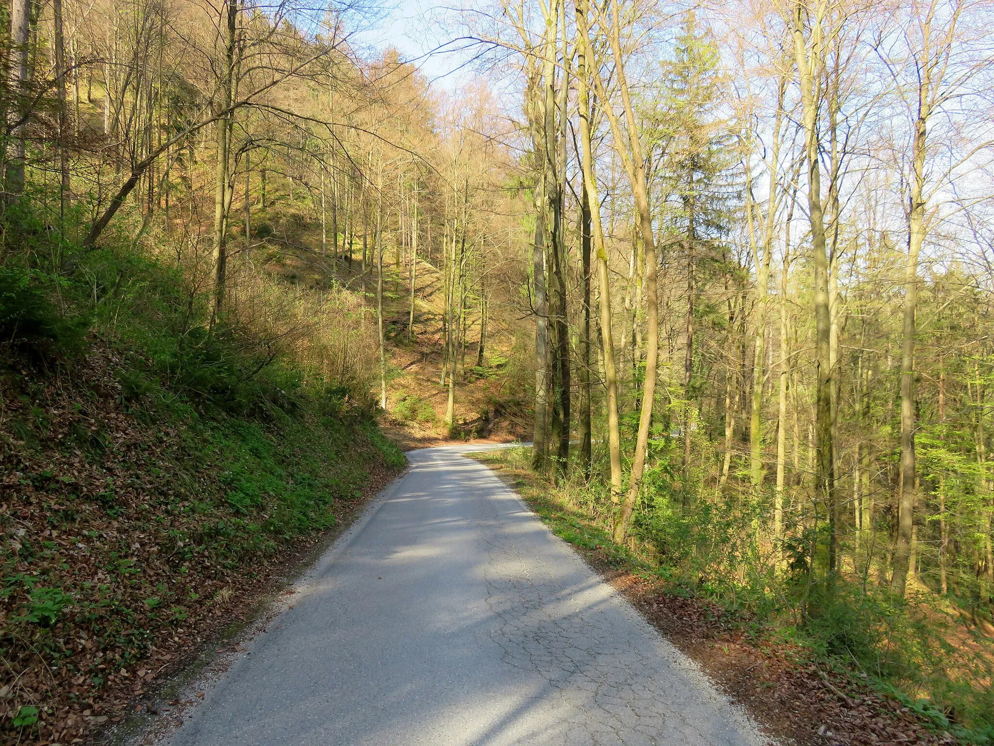 Photo showing: Road below the Golkar farm in Golčaj, Municipality of Lukovica, Slovenia