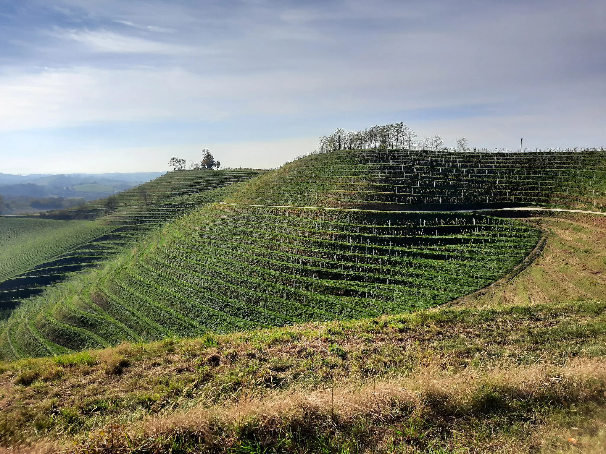 Photo showing: Mađerkin breg is a hill and viepoint in village of Robadje, Međimurje, Croatia