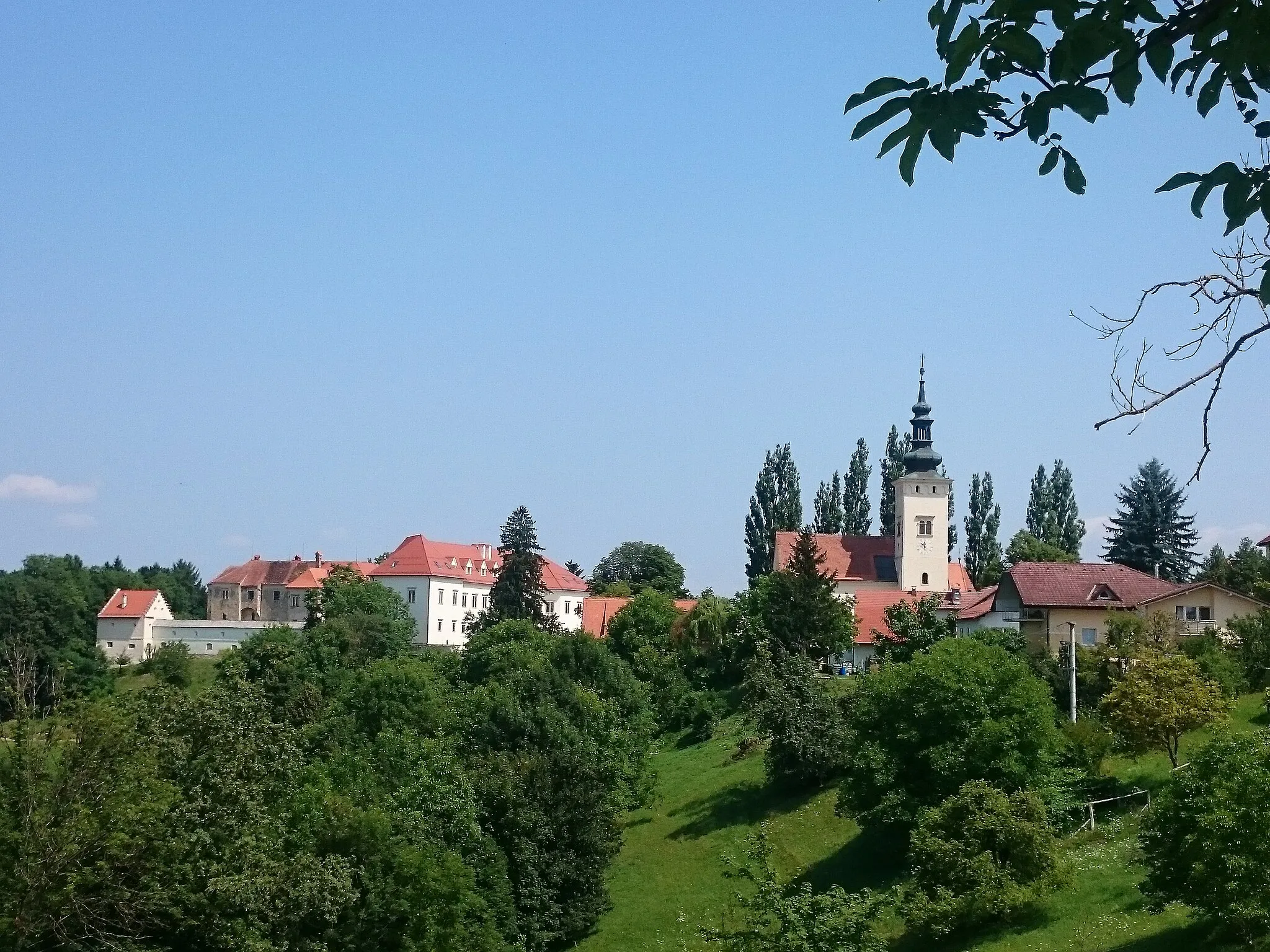 Photo showing: View of the Negova Castle and Nativity of the Virgin Mary church.