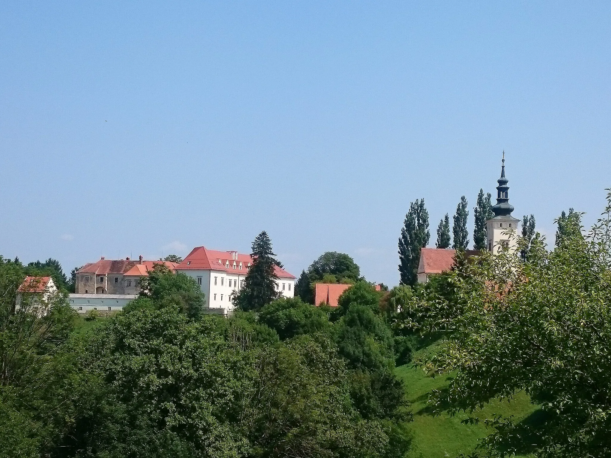 Photo showing: View of the Negova Castle and Nativity of the Virgin Mary church.