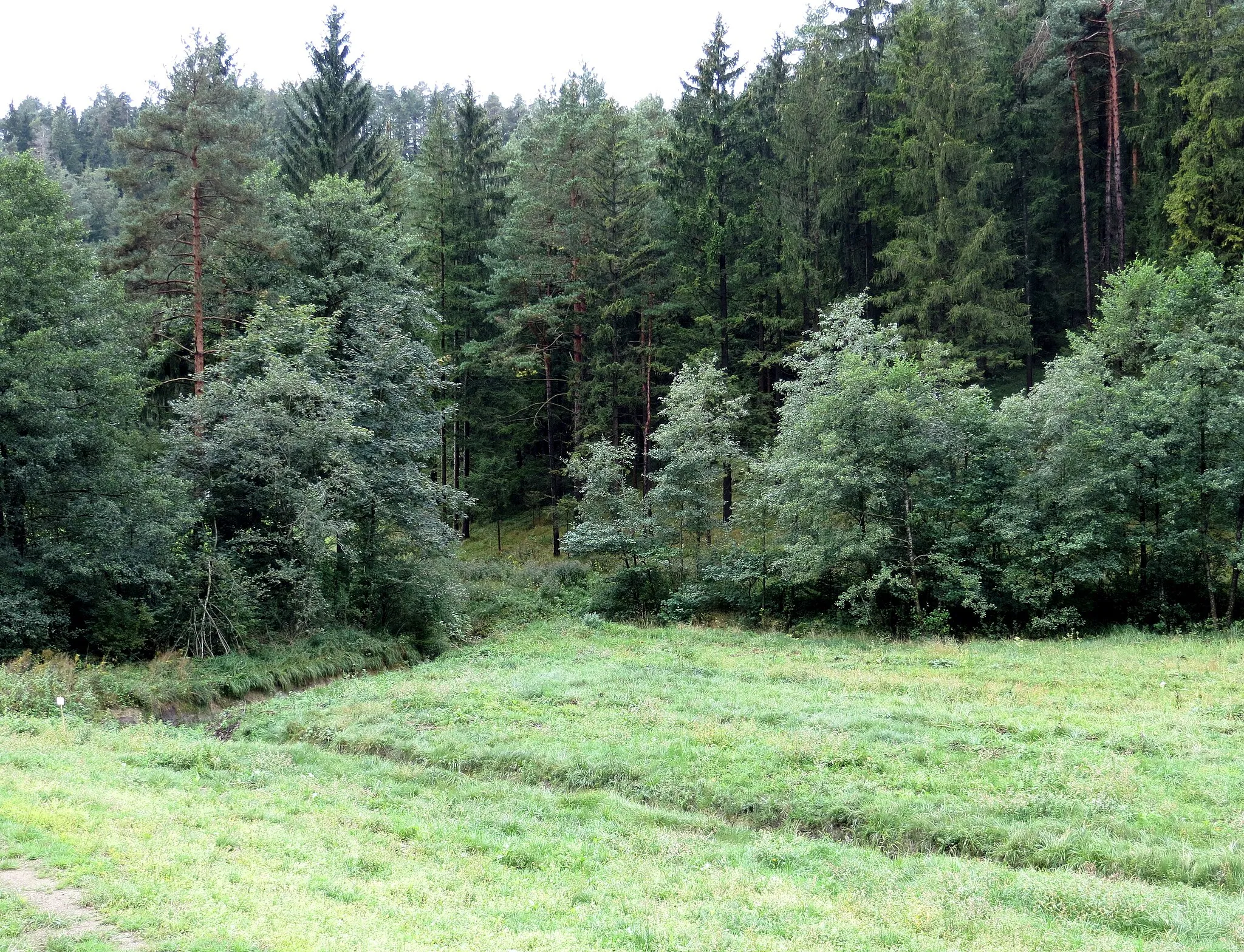 Photo showing: Movže 1 Mass Grave in Mislinja, Municipality of Mislinja, Slovenia