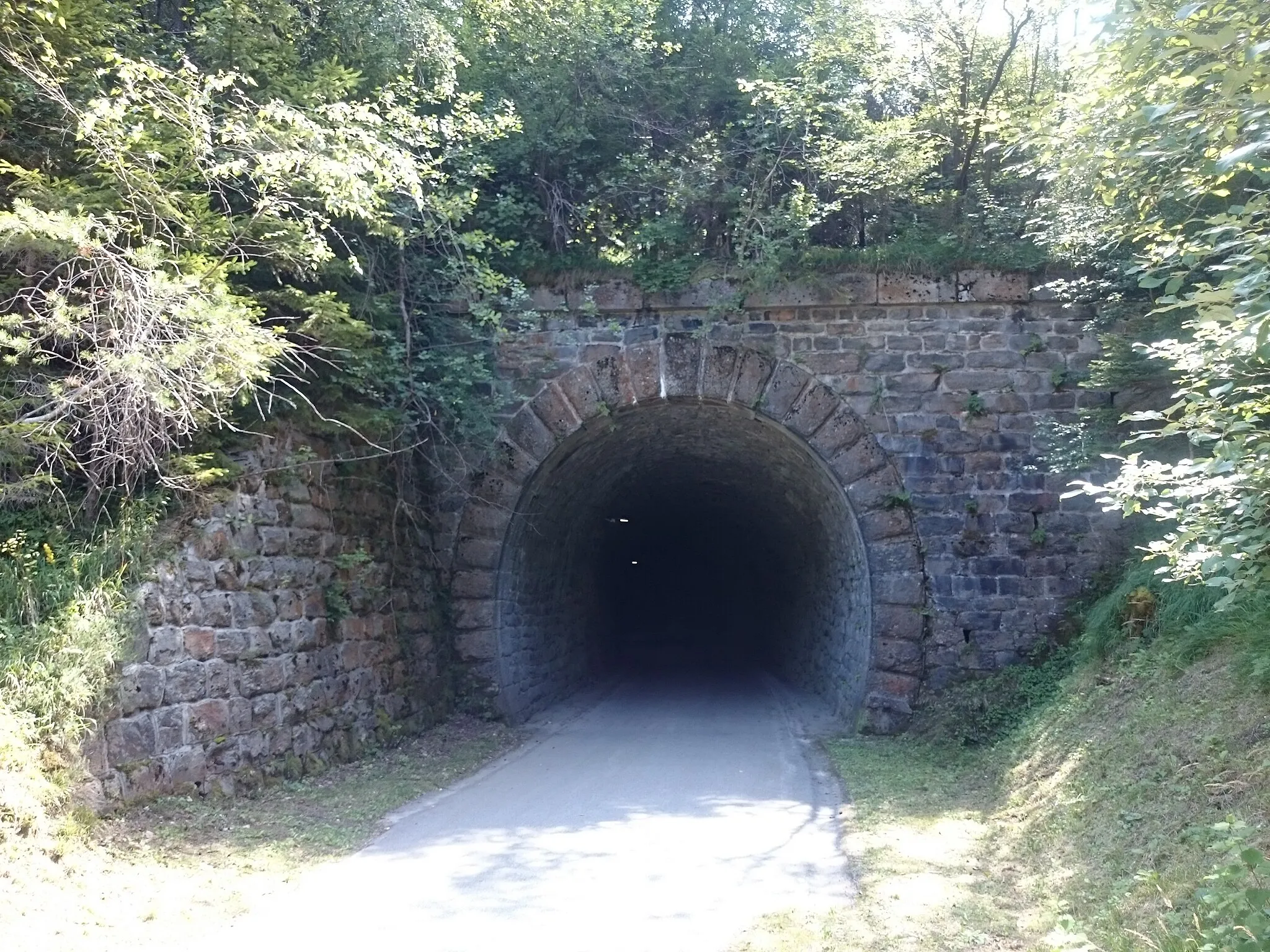 Photo showing: Northern portal of the former Gornji Dolič railway (Lavanttalbahn) tunnel between Mislinja and Gornji Dolič. Today it is used by the cycling trail "Štrekna".