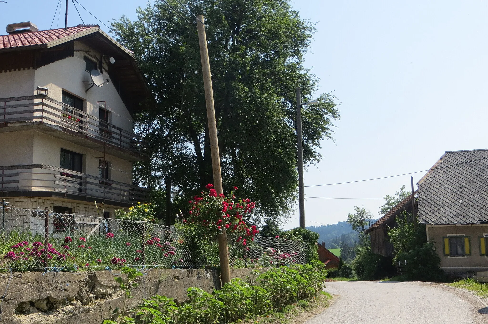 Photo showing: Mali Rakitovec, Municipality of Kamnik, Slovenia