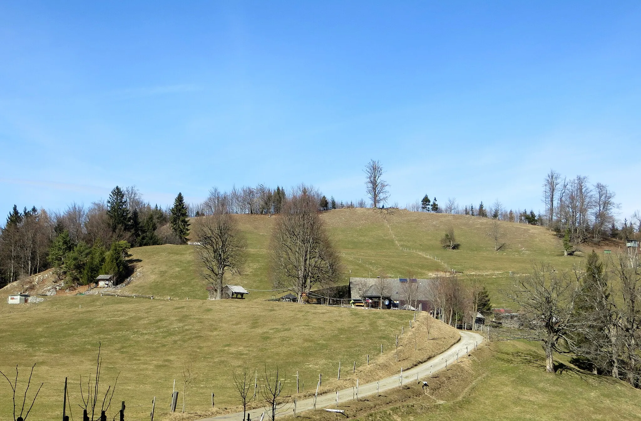 Photo showing: The Lipovec Pasture in Špitalič, Municipality of Kamnik, Slovenia