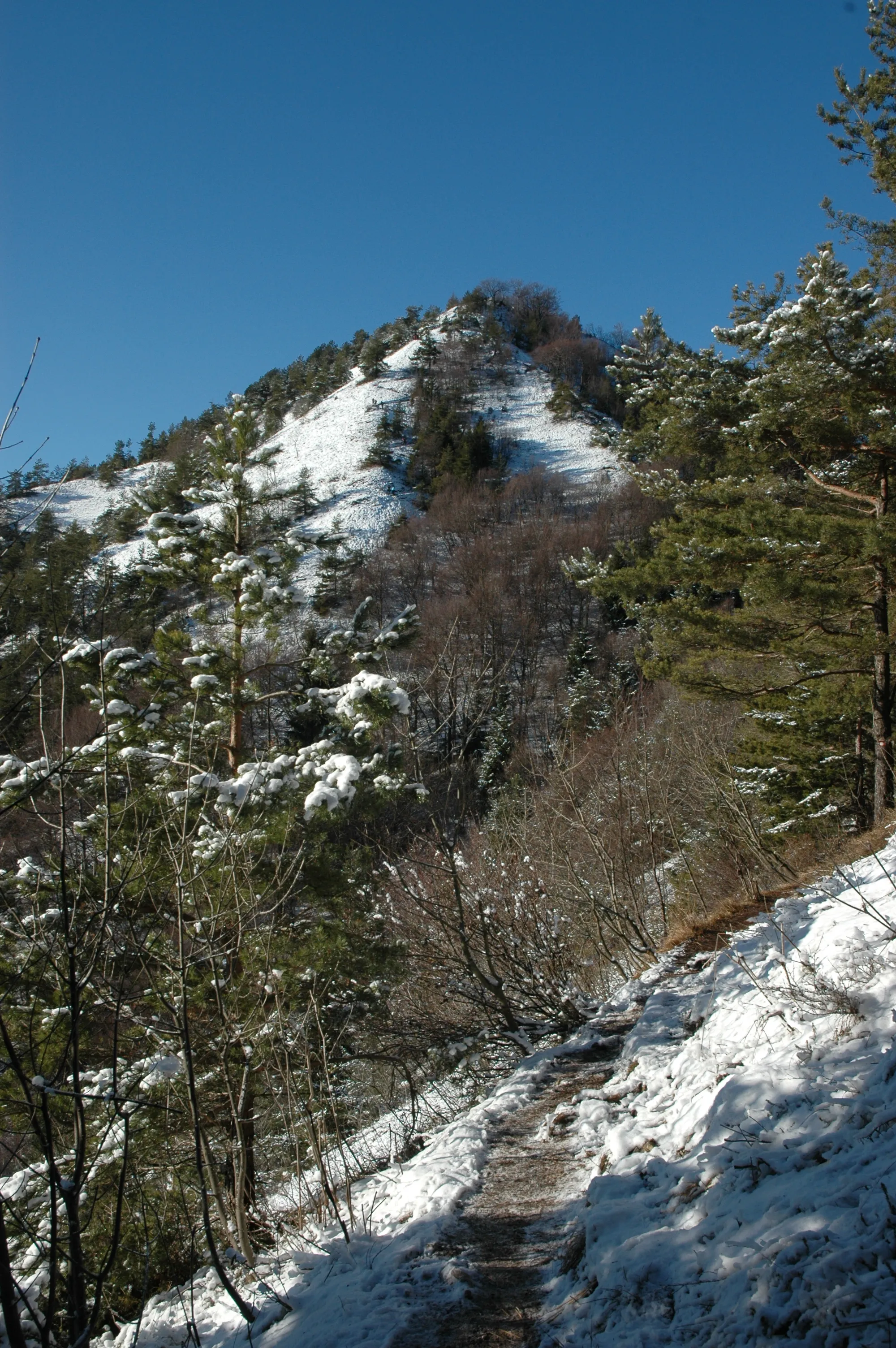 Photo showing: Grmada is the hill in Slovenia