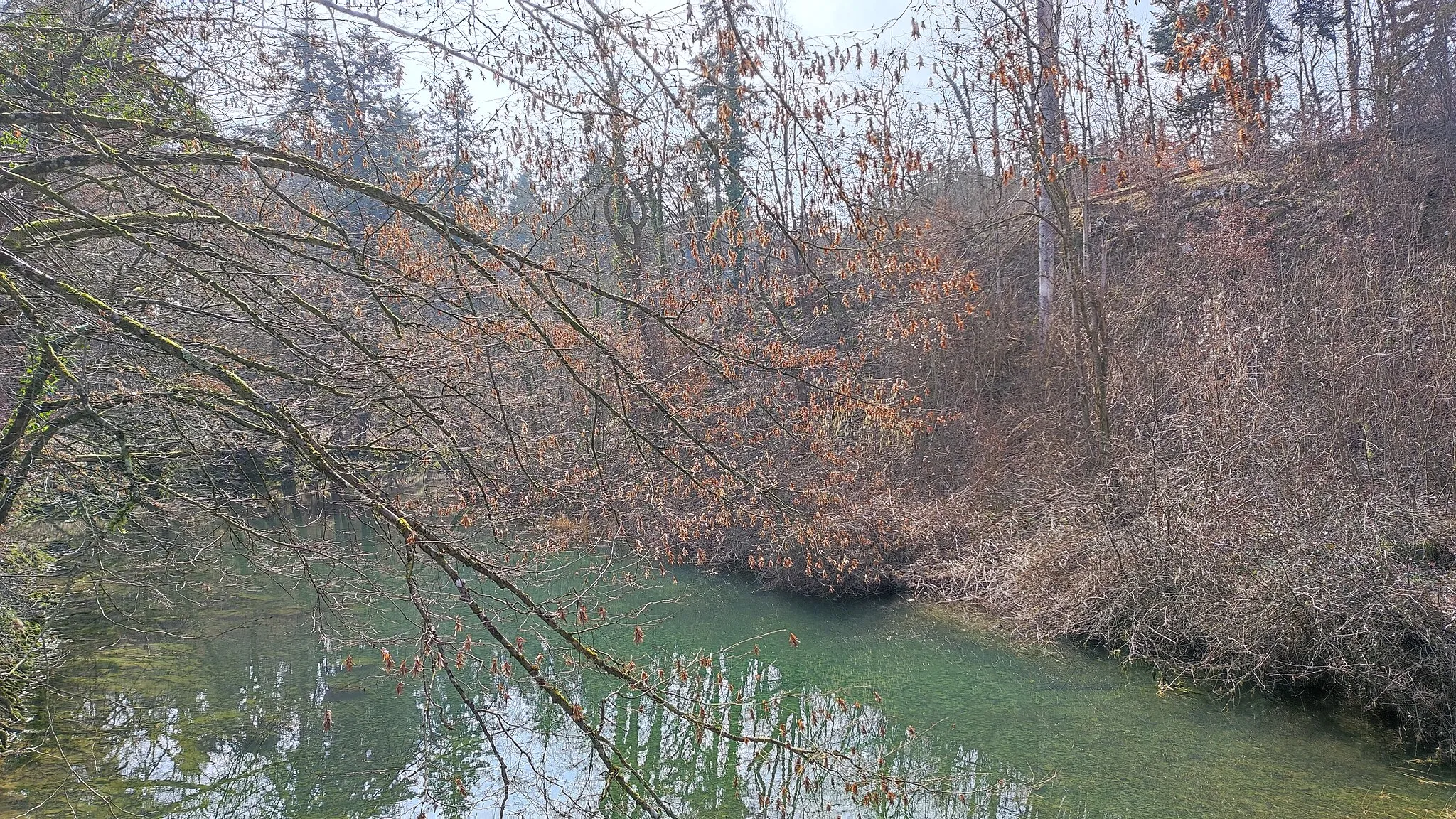 Photo showing: View of the Velika Ljubljanica in the Retovje ravine.