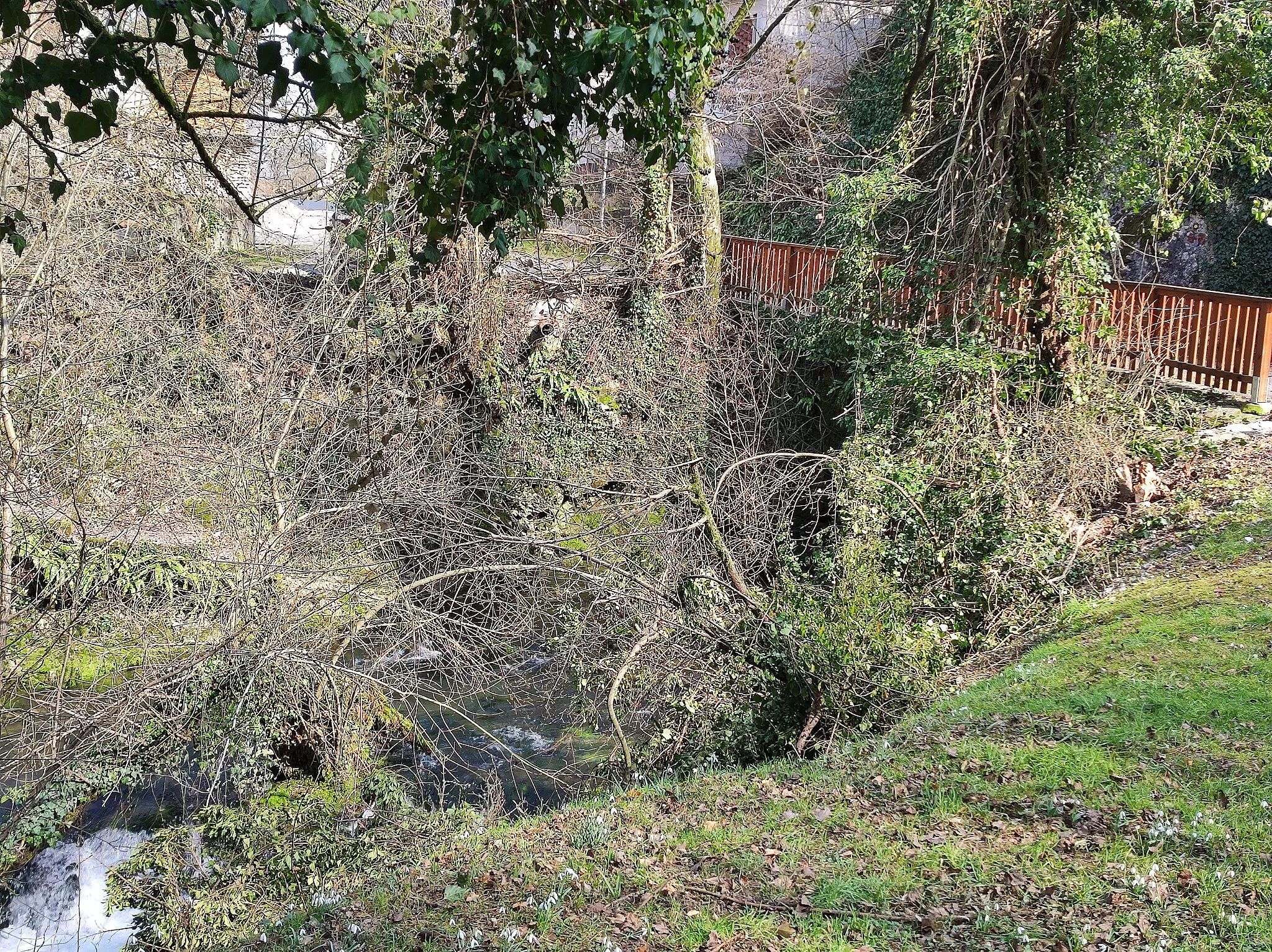 Photo showing: "Pod Orehom" (Under the Wallnut Tree), one of springs of the Velika Ljubljanica river near Verd.