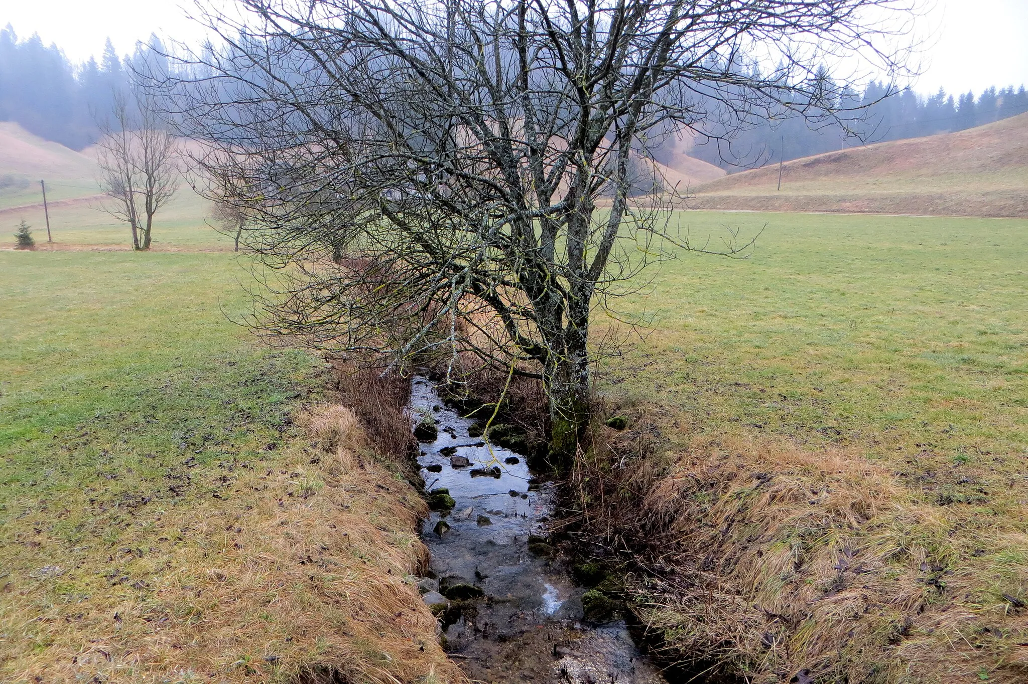 Photo showing: Jakopnik Creek in Potok, Municipality of Idrija, Slovenia