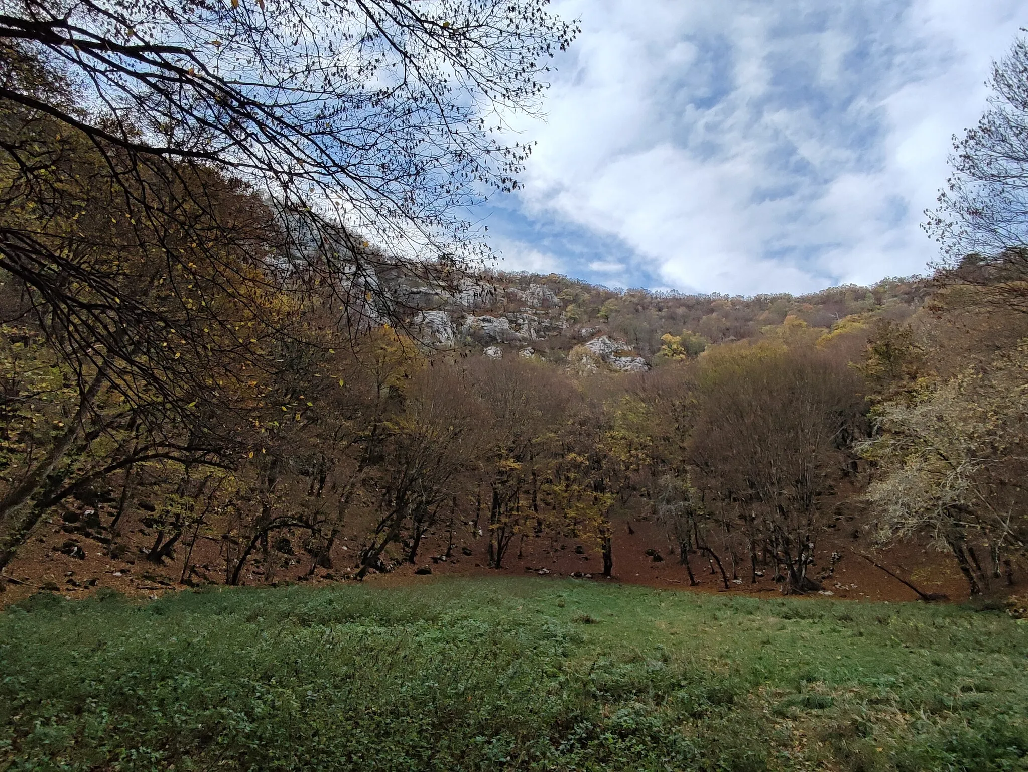 Photo showing: View of the western cliff of the Orlek Sinkhole (sl: Orleška draga), located between Orlek and Fernetti/Fernetiči. Note: the cliff's foot is still a part of Slovenia while the cliff itself lies on the territory of the Italian Comune di Monrupino/Repentabor.