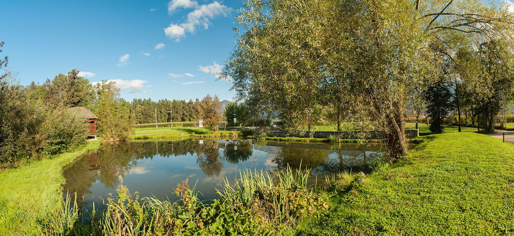 Photo showing: Pond in Srednja vas near Šenčur