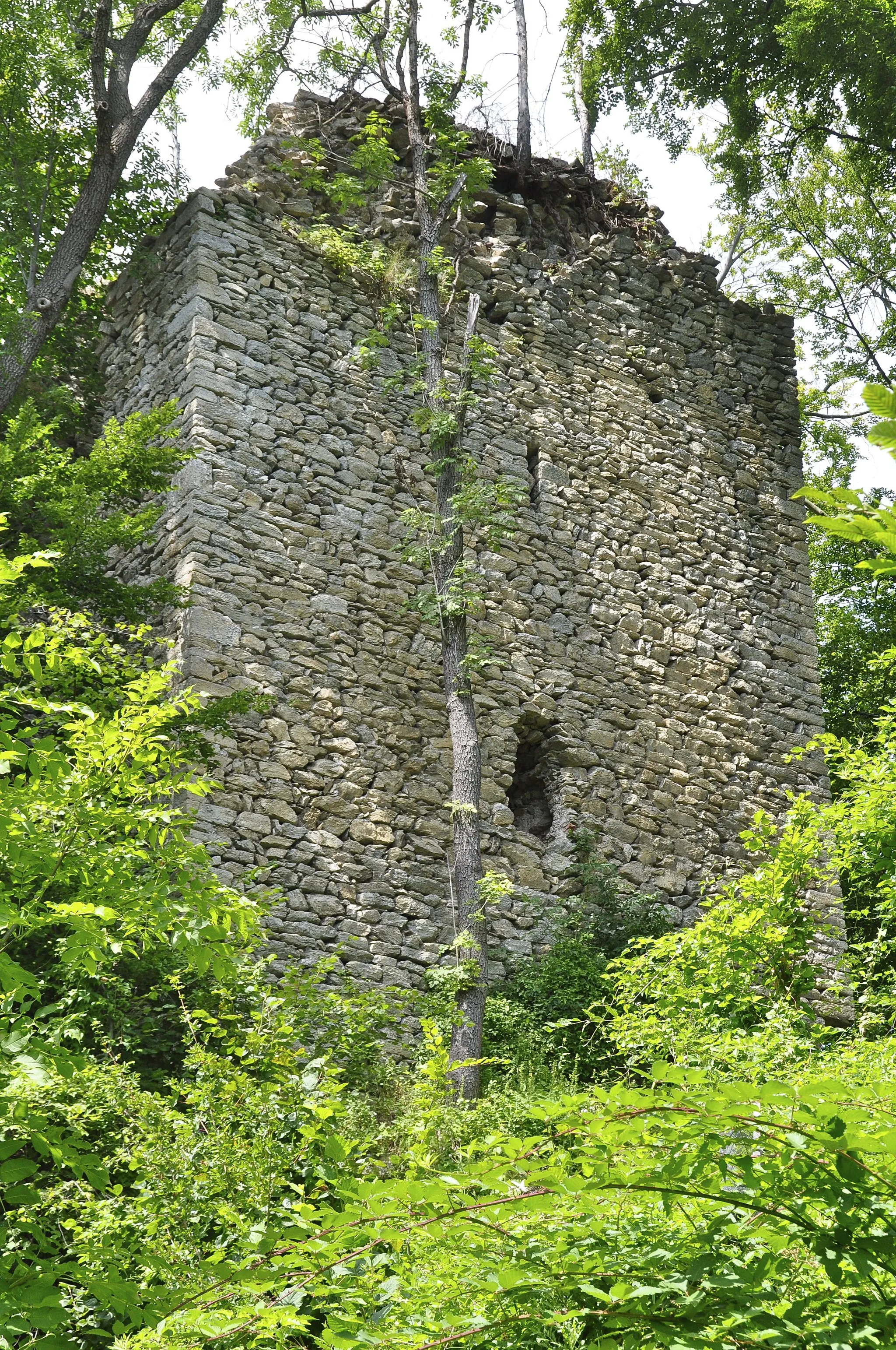 Photo showing: Ruins of castle Strassfried at Maglern, municipality Arnoldstein, district Villach Land, Carinthia / Austria / EU