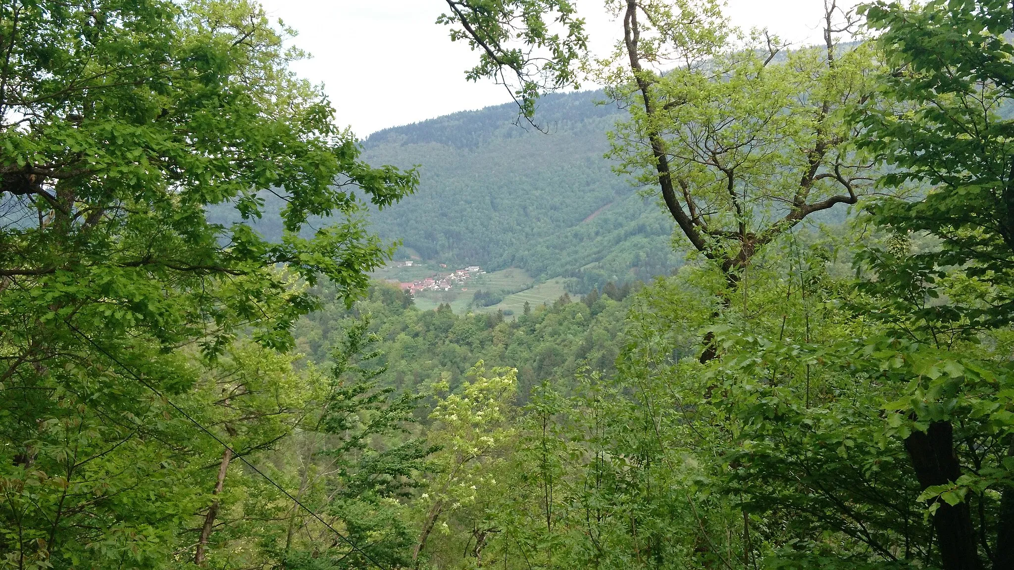 Photo showing: Zabočevo-Borovnica-panorama