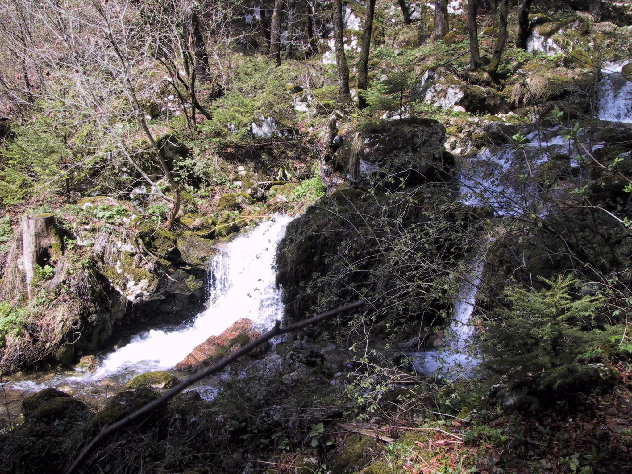 Photo showing: Potok Pirašica pod slapom teče v Savo Bohinjko.