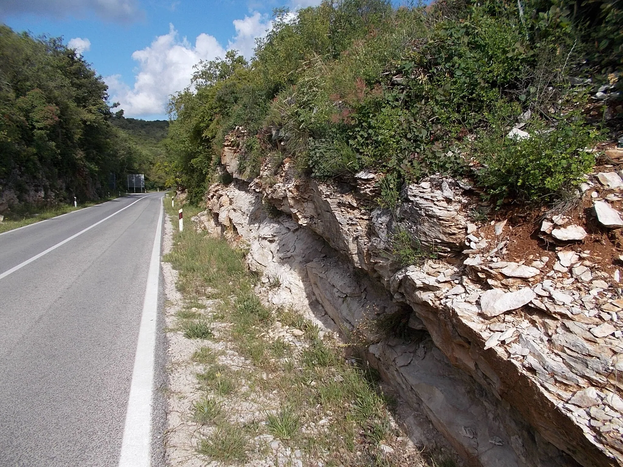 Photo showing: Buje - Plovanija - a D200-as út a határátkelő előtt