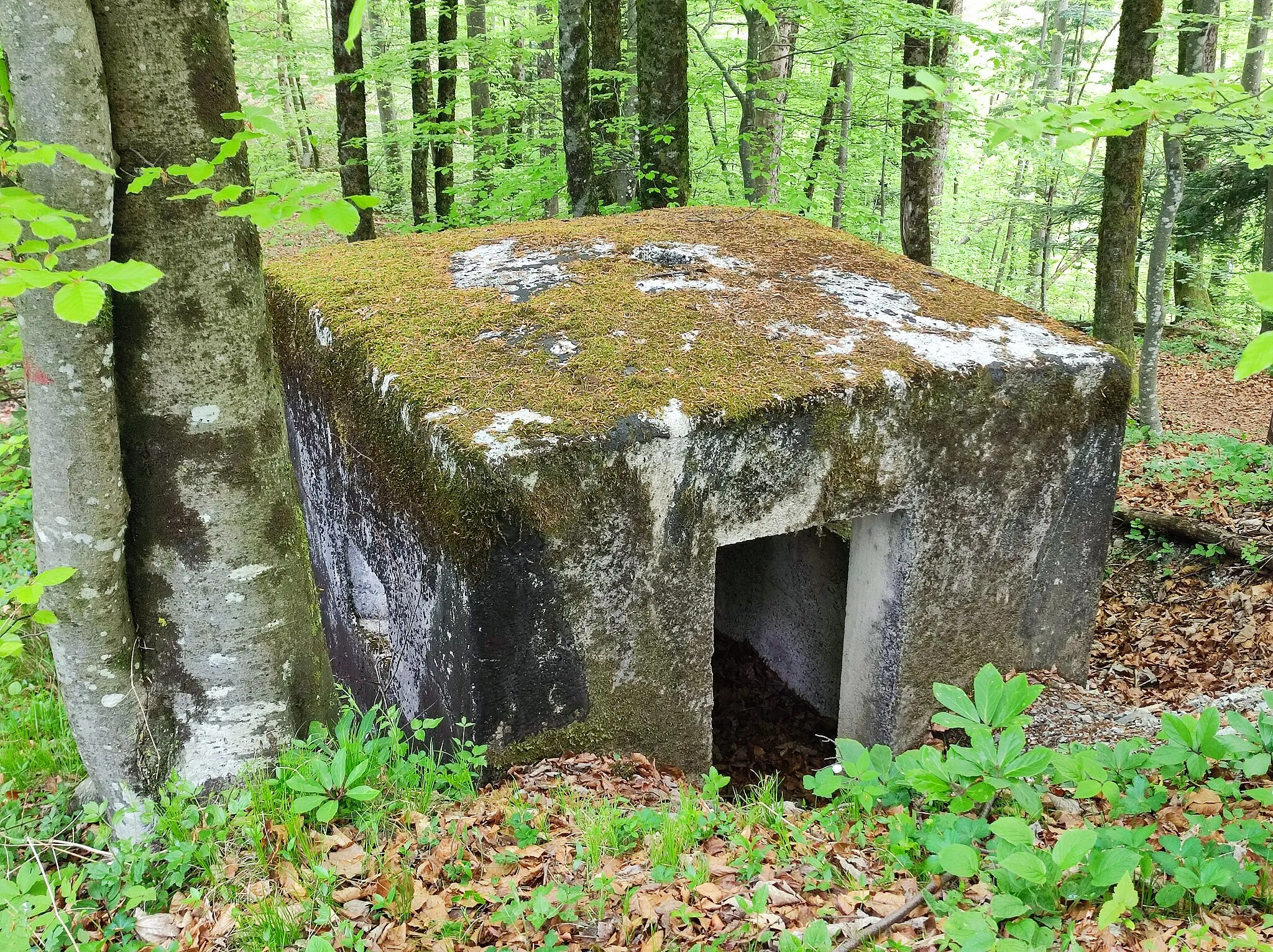 Photo showing: Light machine gun nest, part of the Rupnik line, located between peaks of the Volčja njiva and Hrastje.