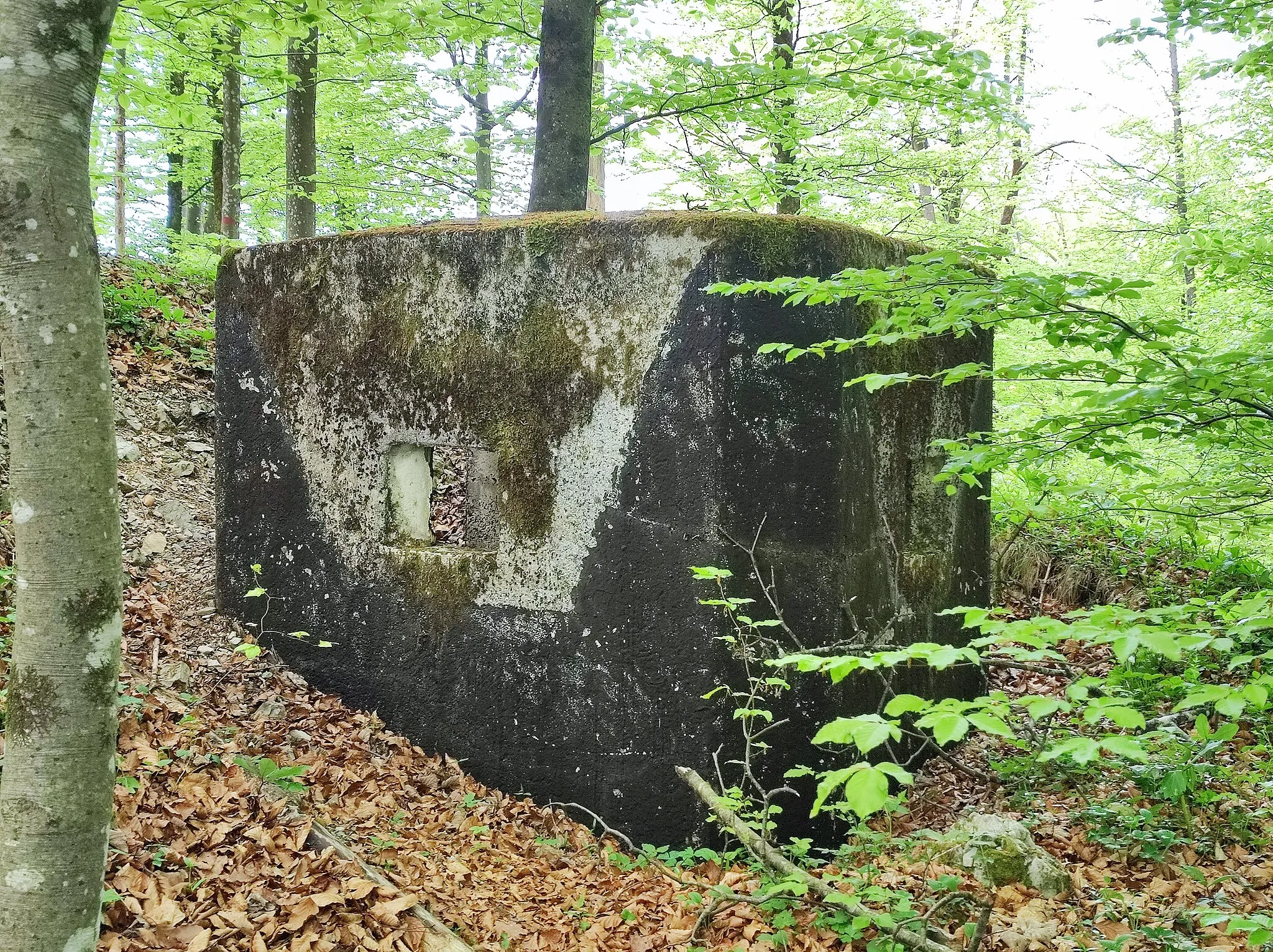 Photo showing: Light machine gun nest, part of the Rupnik line, located between peaks of the Volčja njiva and Hrastje.