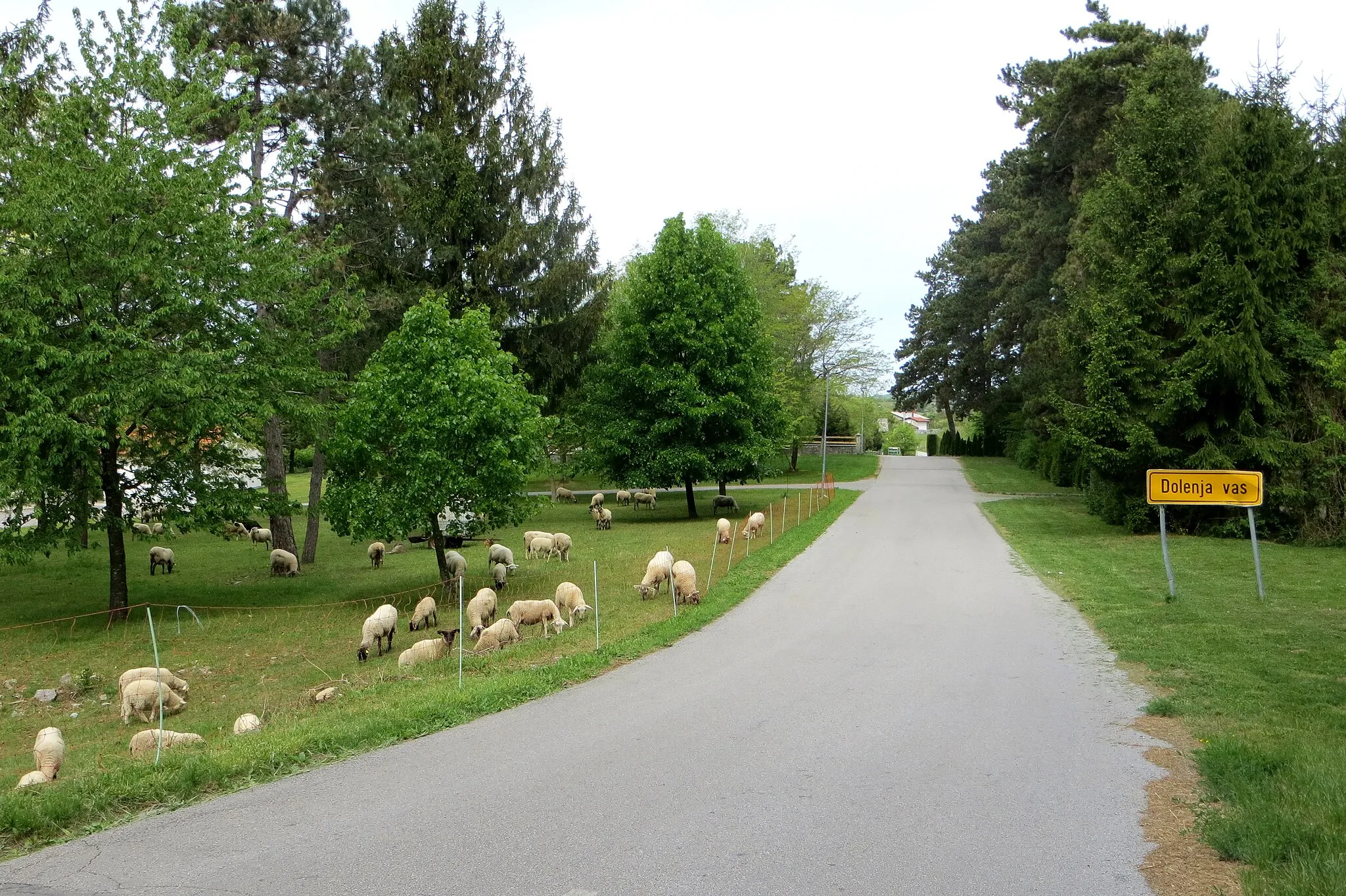 Photo showing: Dolenja Vas, Municipality of Divača, Slovenia