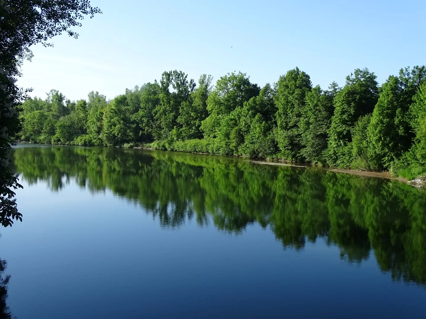 Photo showing: River Sava at Tacen