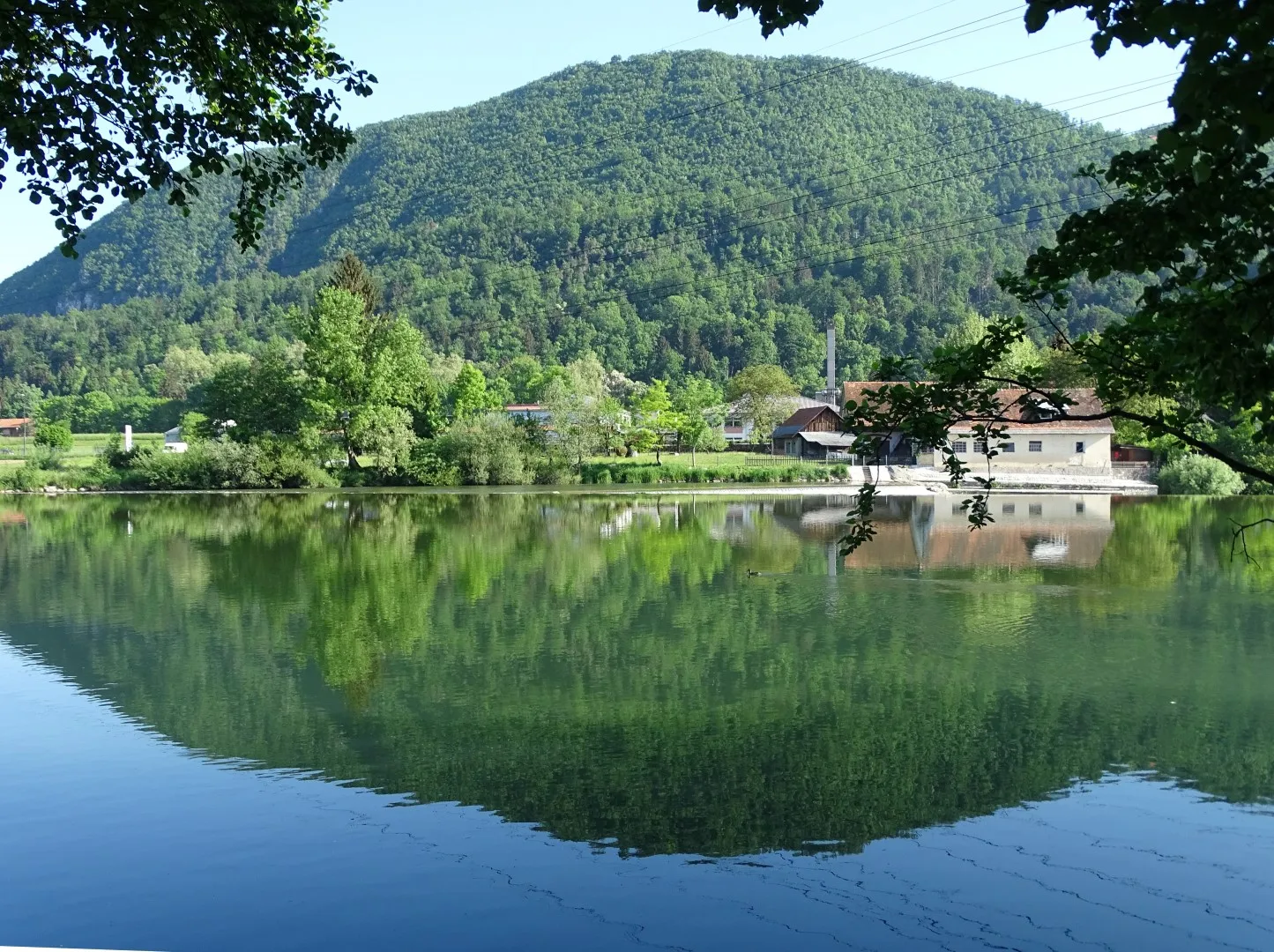 Photo showing: River Sava at Tacen