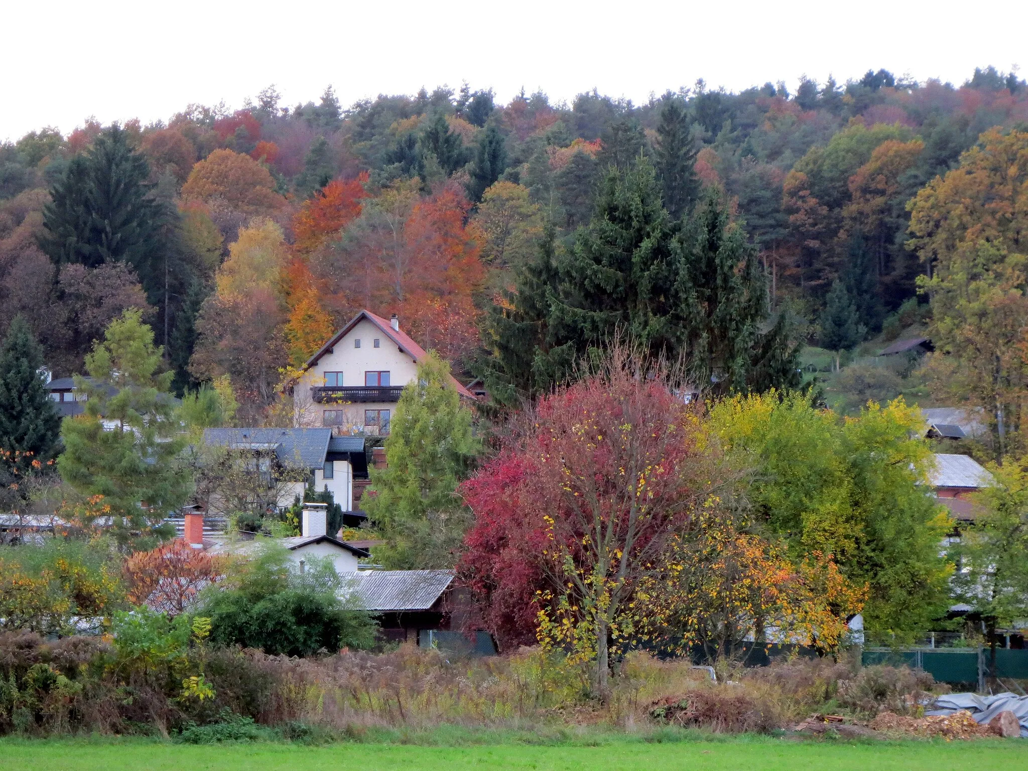 Photo showing: Šentviški hrib