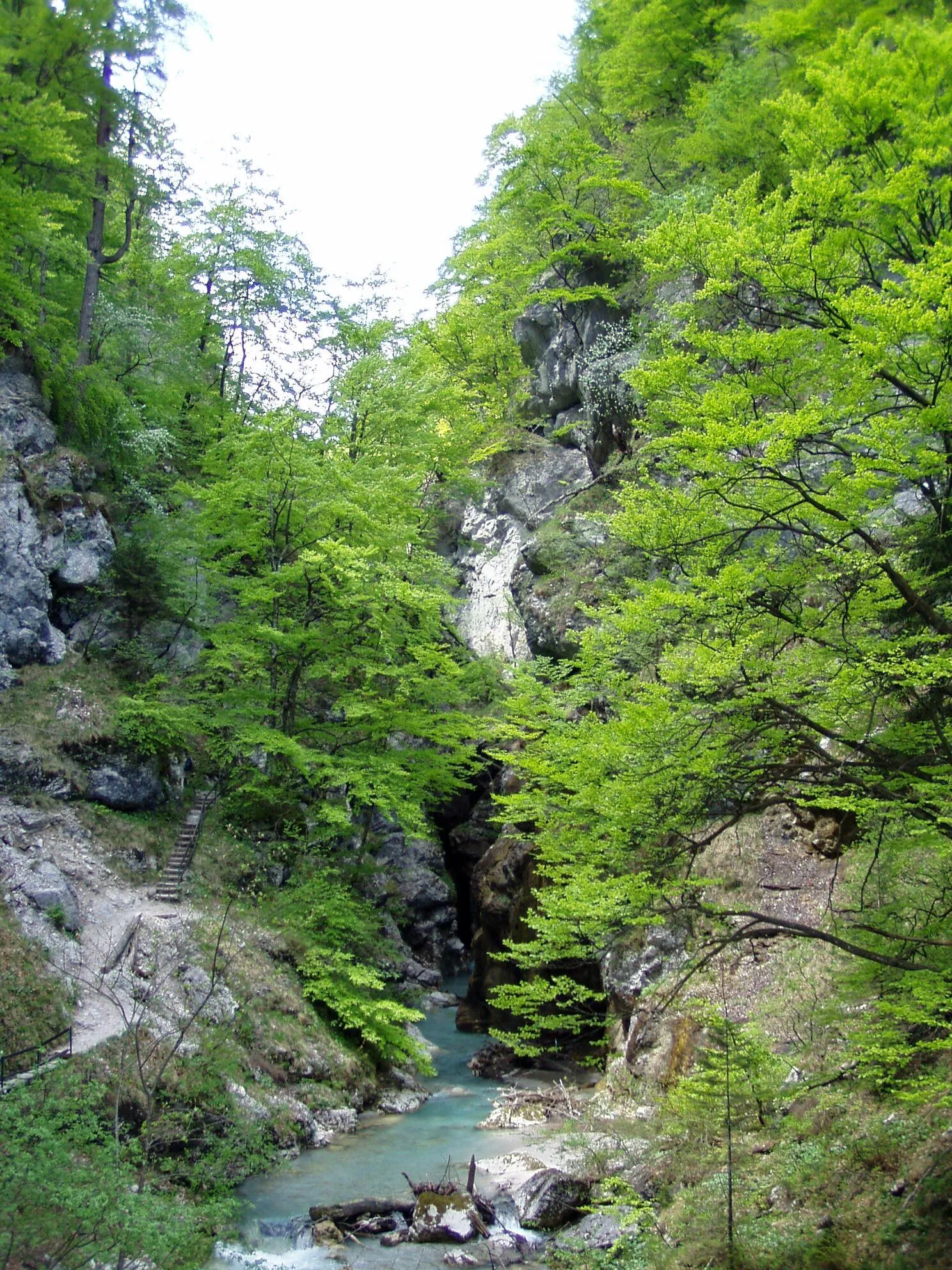 Photo showing: Tscheppaschlucht, Loibltal, Karawanken, Carinthia