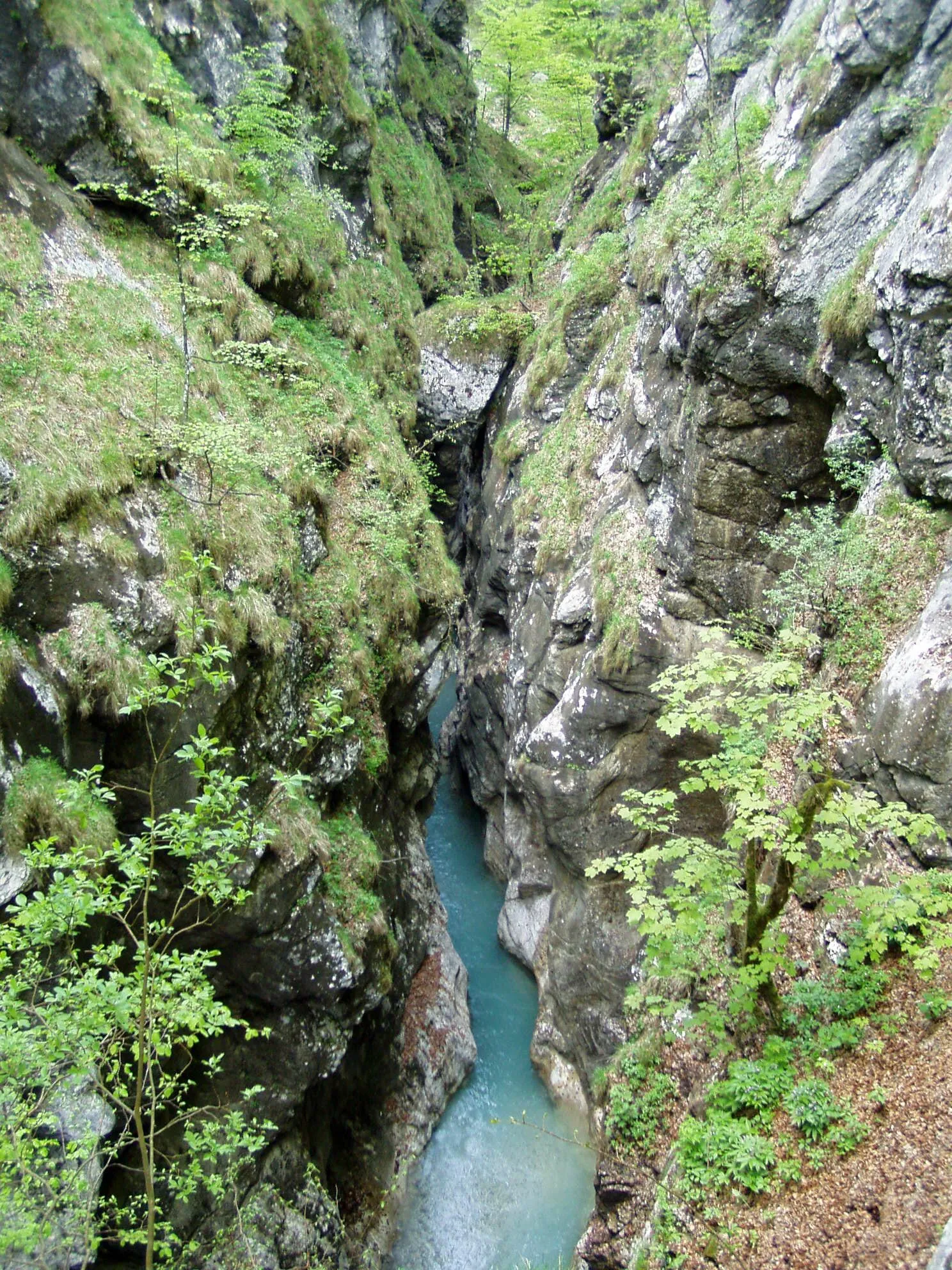 Photo showing: Tscheppaschlucht, Loibltal, Karawanken, Carinthia