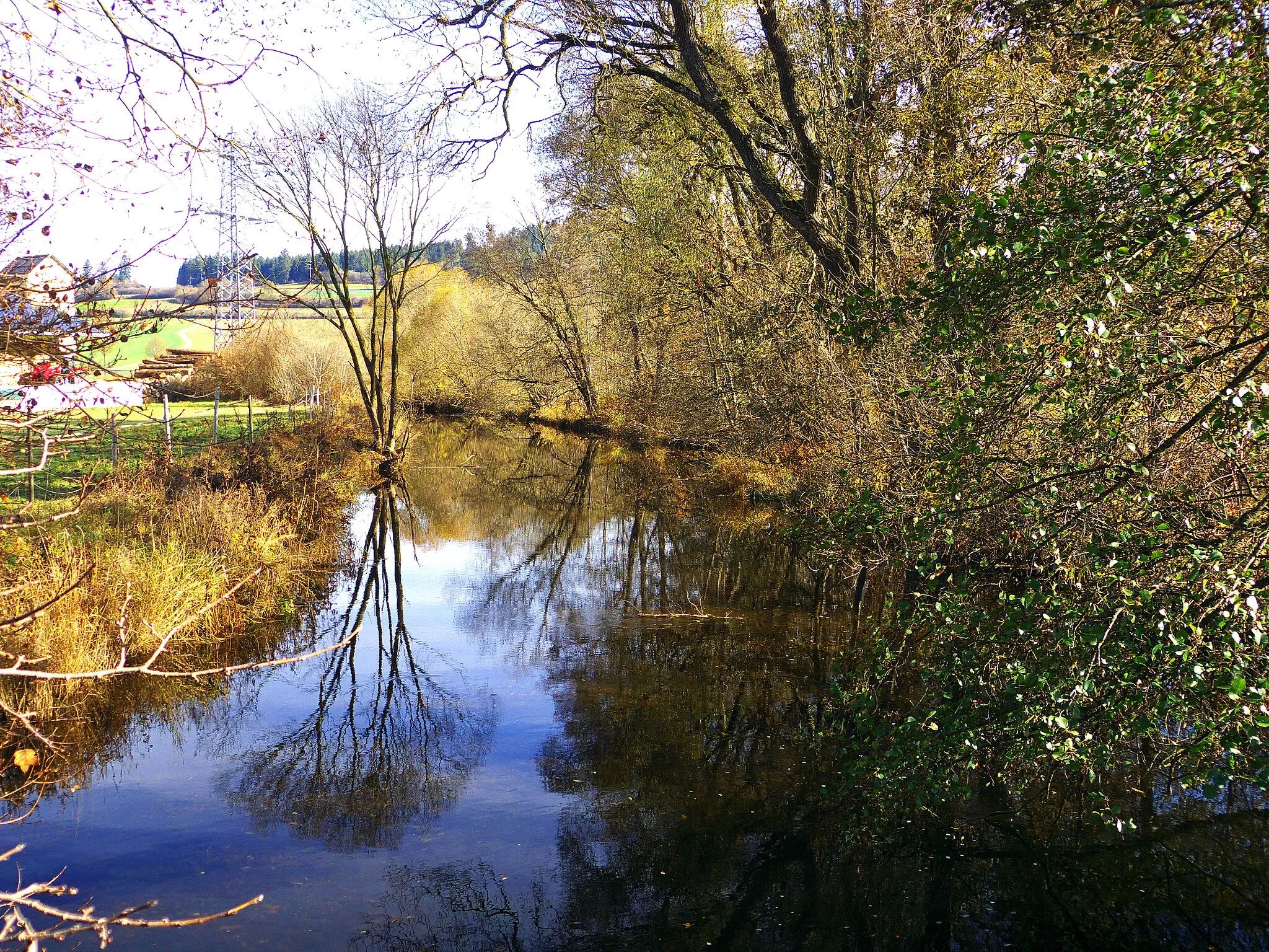 Photo showing: Beaver