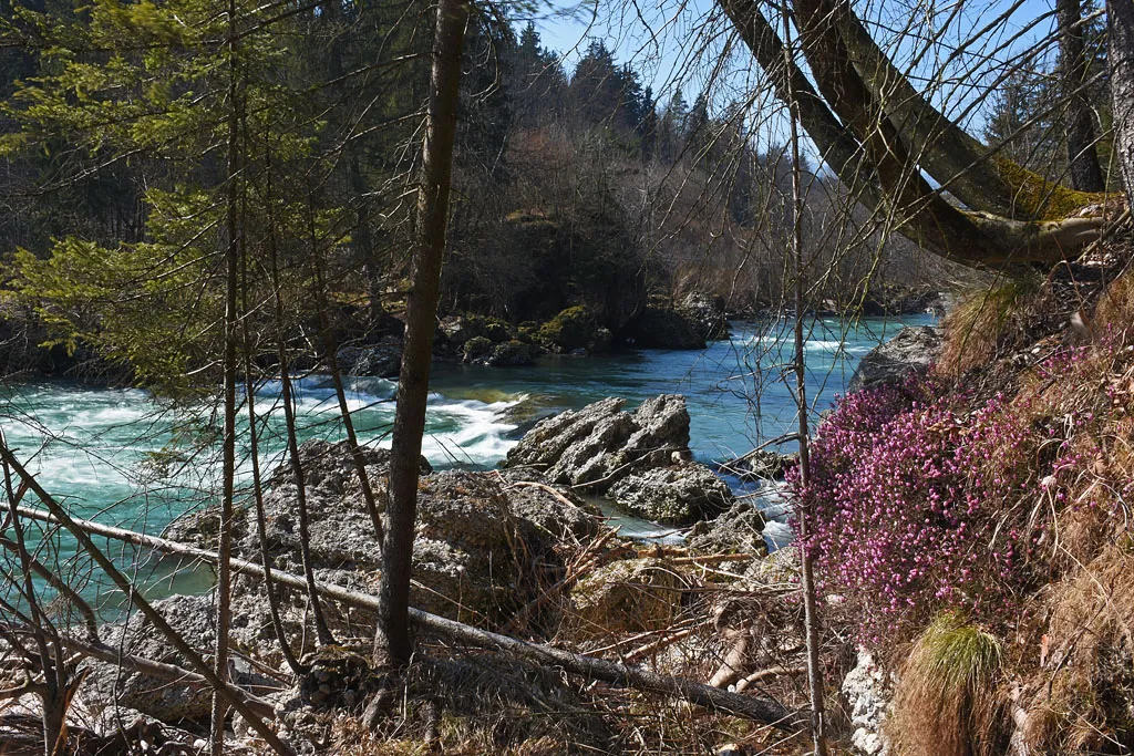 Photo showing: Below the conglomerate cliffs of Okroglo, the flow of Sava is quite lively.