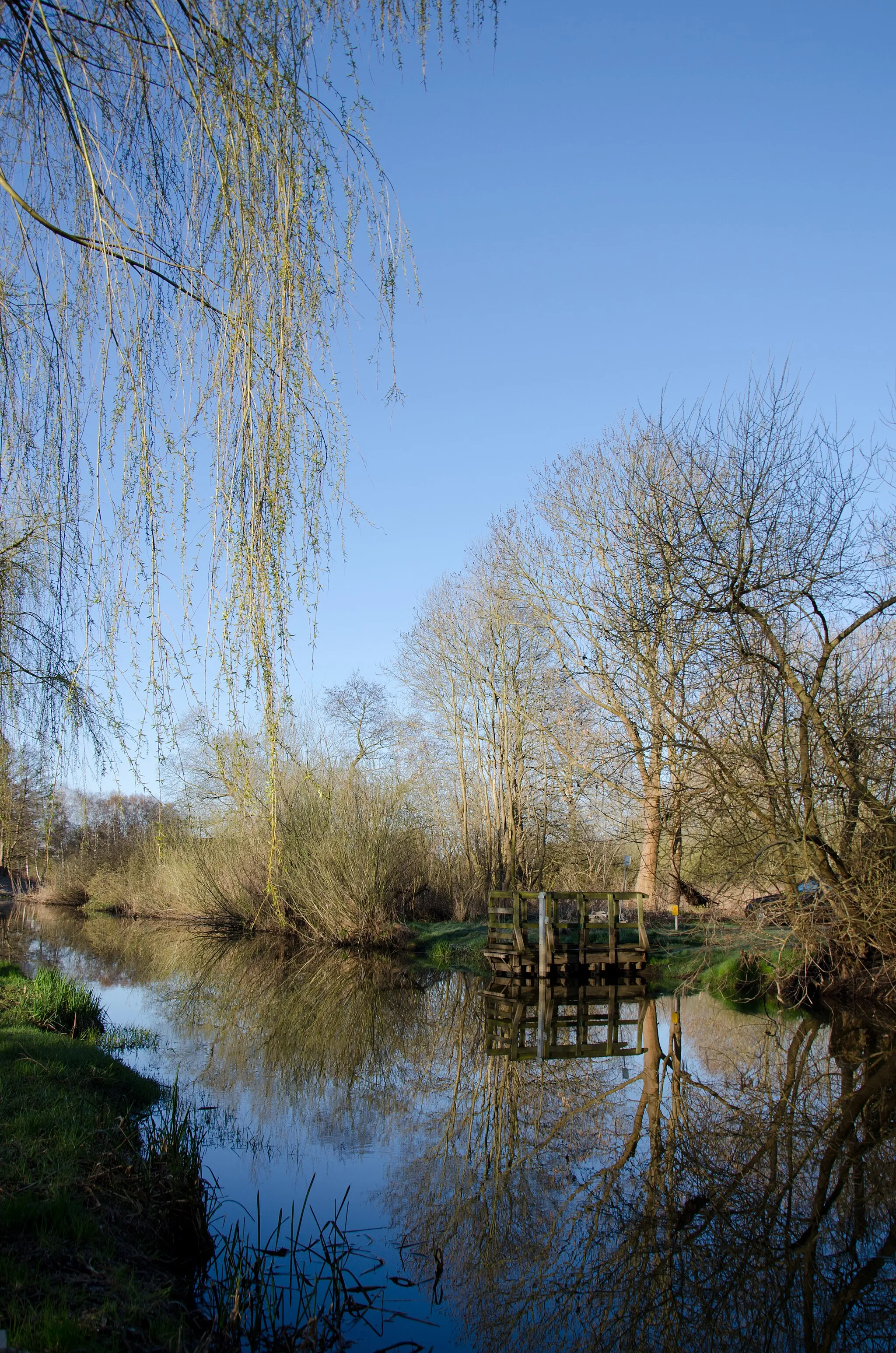 Photo showing: Die Beke in Schwaan am Morgen des Ostersonntags 2012.