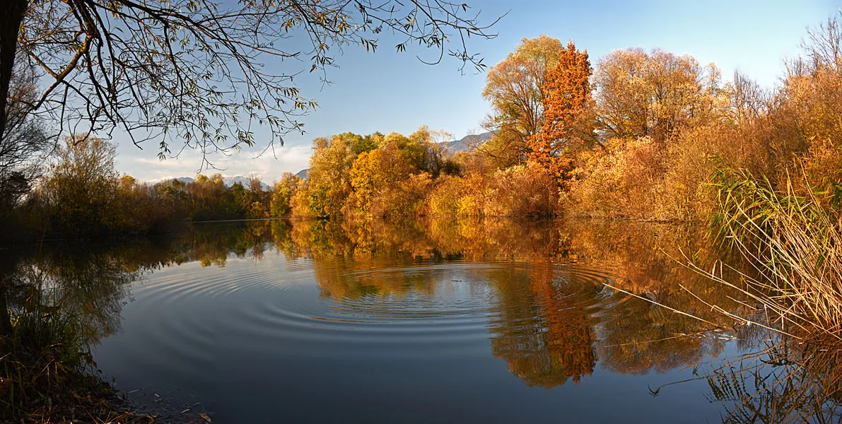 Photo showing: This lake is also named Krokodilnica and is a protected natural reserve.