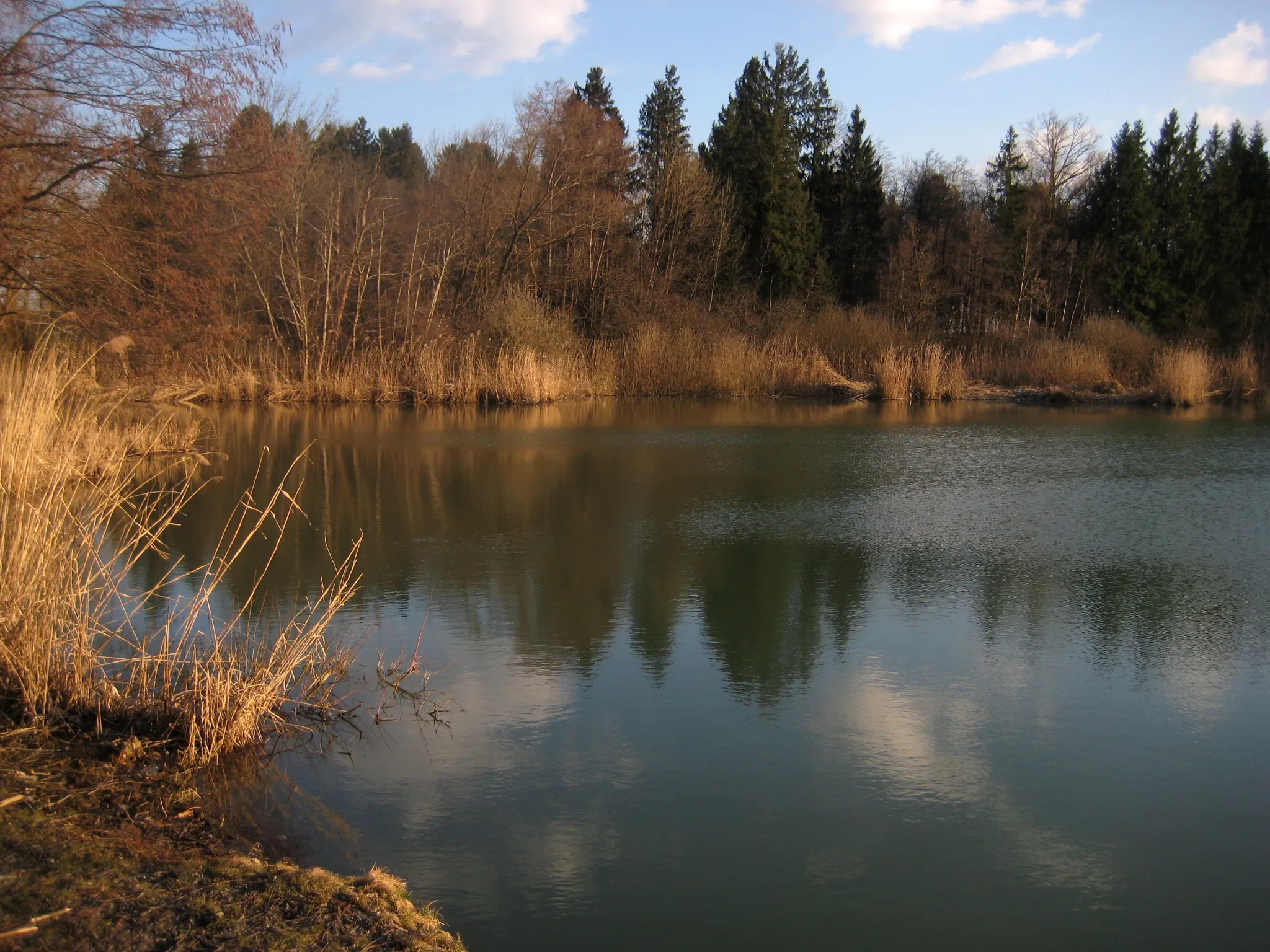 Photo showing: Bobovško jezero