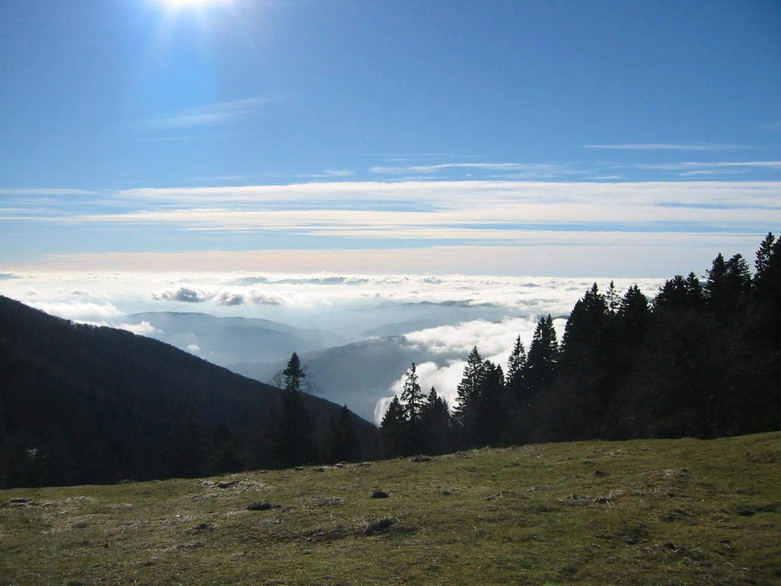 Photo showing: Blegoš, mountain in Slovenia (view from)

photo:Ziga 09:34, 16 April 2007 (UTC)