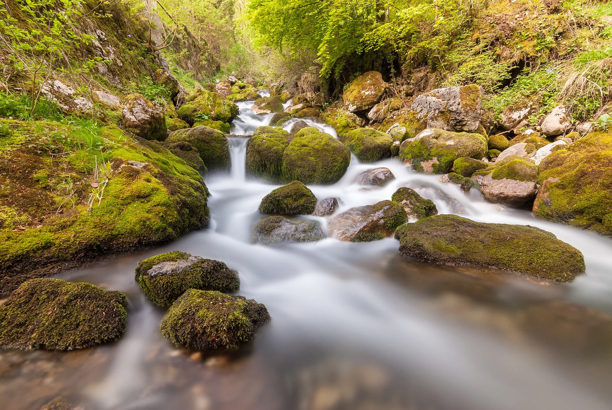 Photo showing: Kroparica stream near Kropa