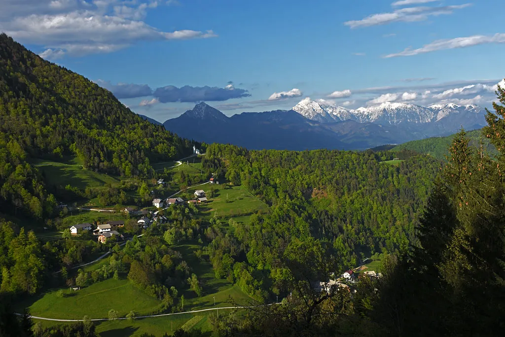 Photo showing: Lajše z Rožnika.