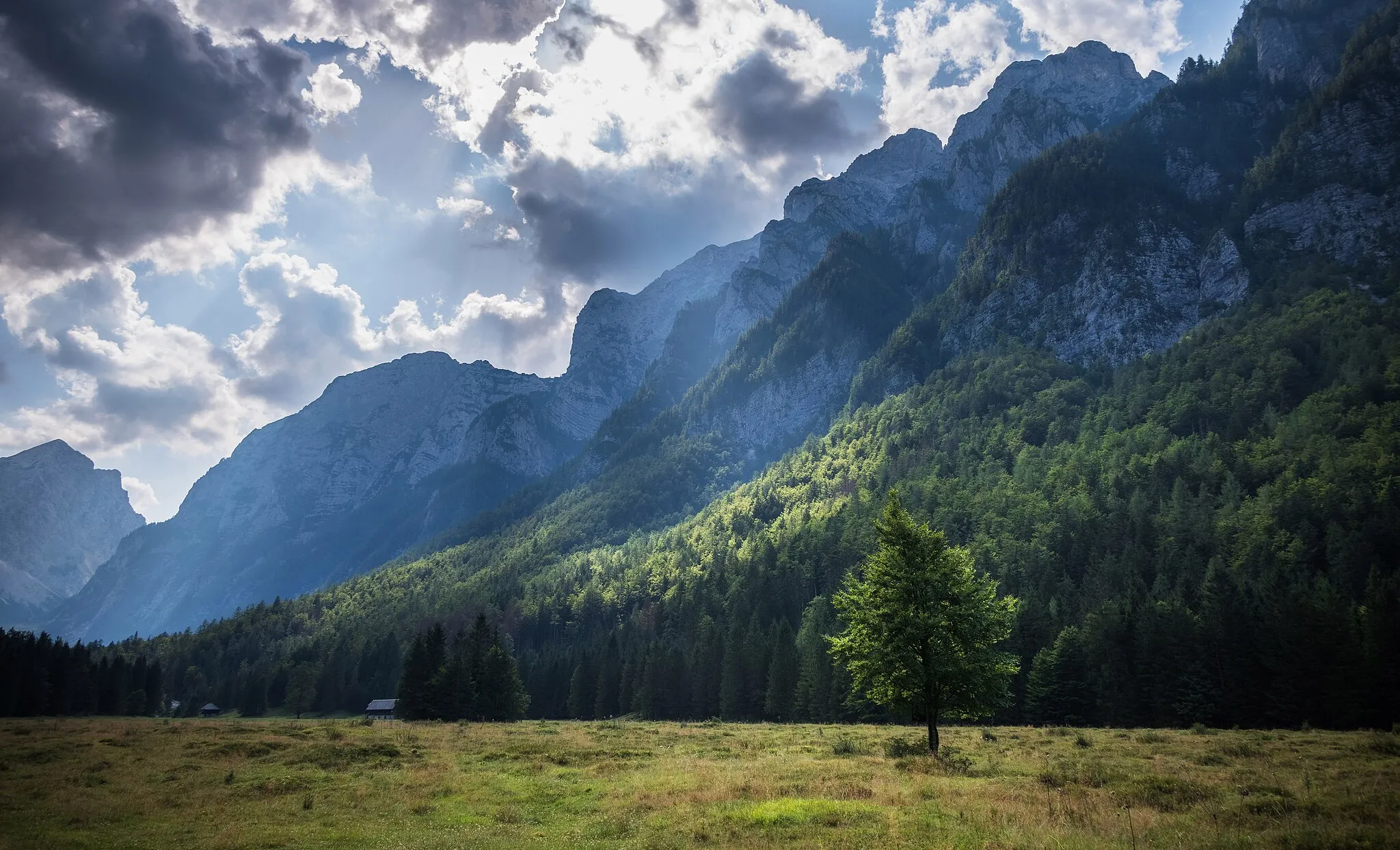 Photo showing: Krma valley in the Julian Alps.