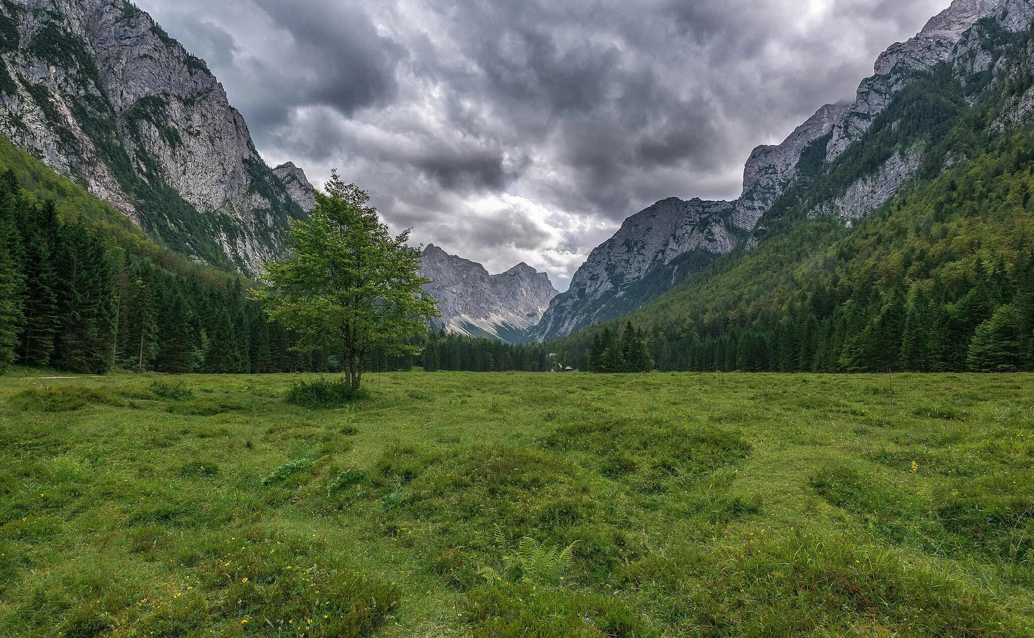 Photo showing: Dark afternoon in the Krma valley in Julian Alps.