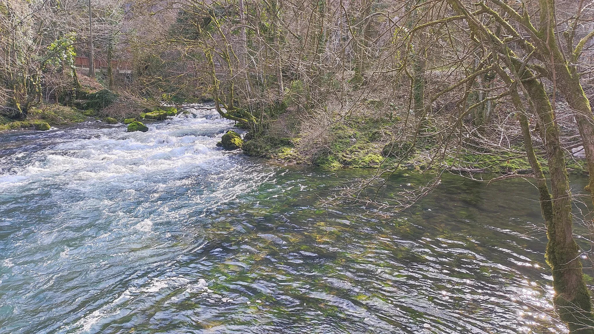 Photo showing: Confluence of two headwaters of the Velika Ljubljanica near Verd: the main one from the Retovje Springs and the side one from the "Pod skalo" (Under the Rock) spring.