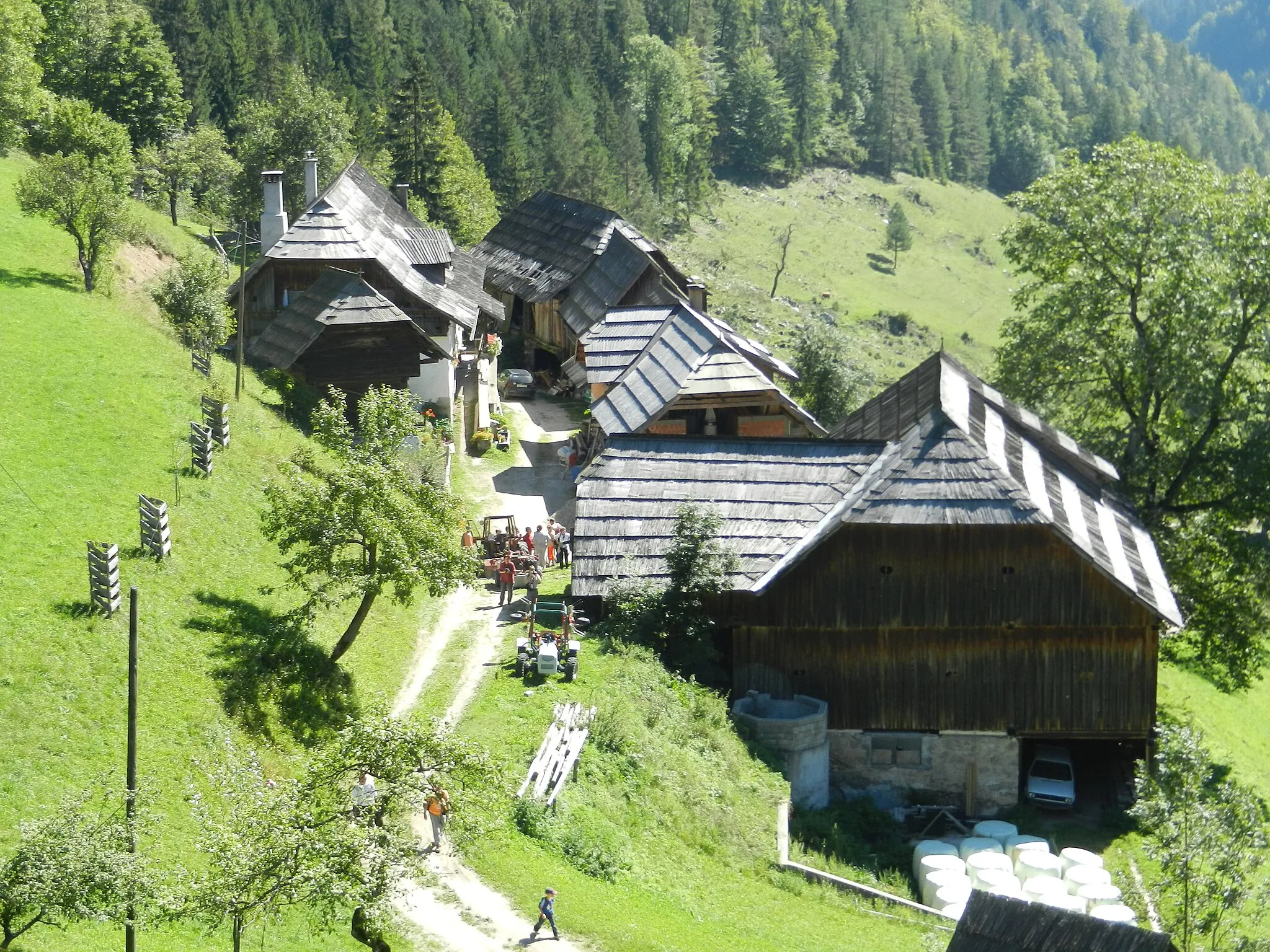 Photo showing: Značilna kmetija v dolini Topla