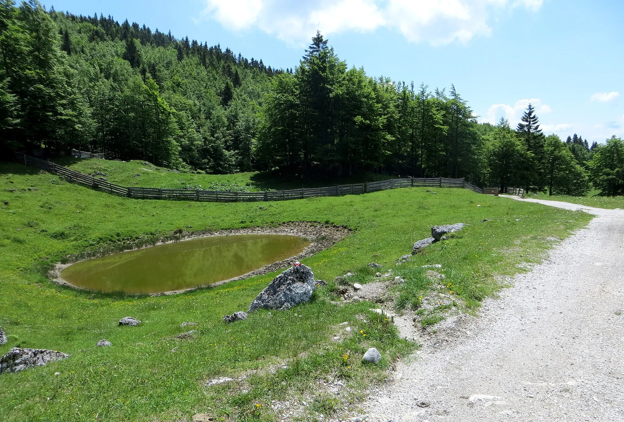 Photo showing: Livestock fencing and a pond on the Menina Pasture Plateau in Slovenia (on the border between Bočna, Municipality of Gornji Grad at left, and Okrog pri Motniku, Municipality of Kamnik at right).