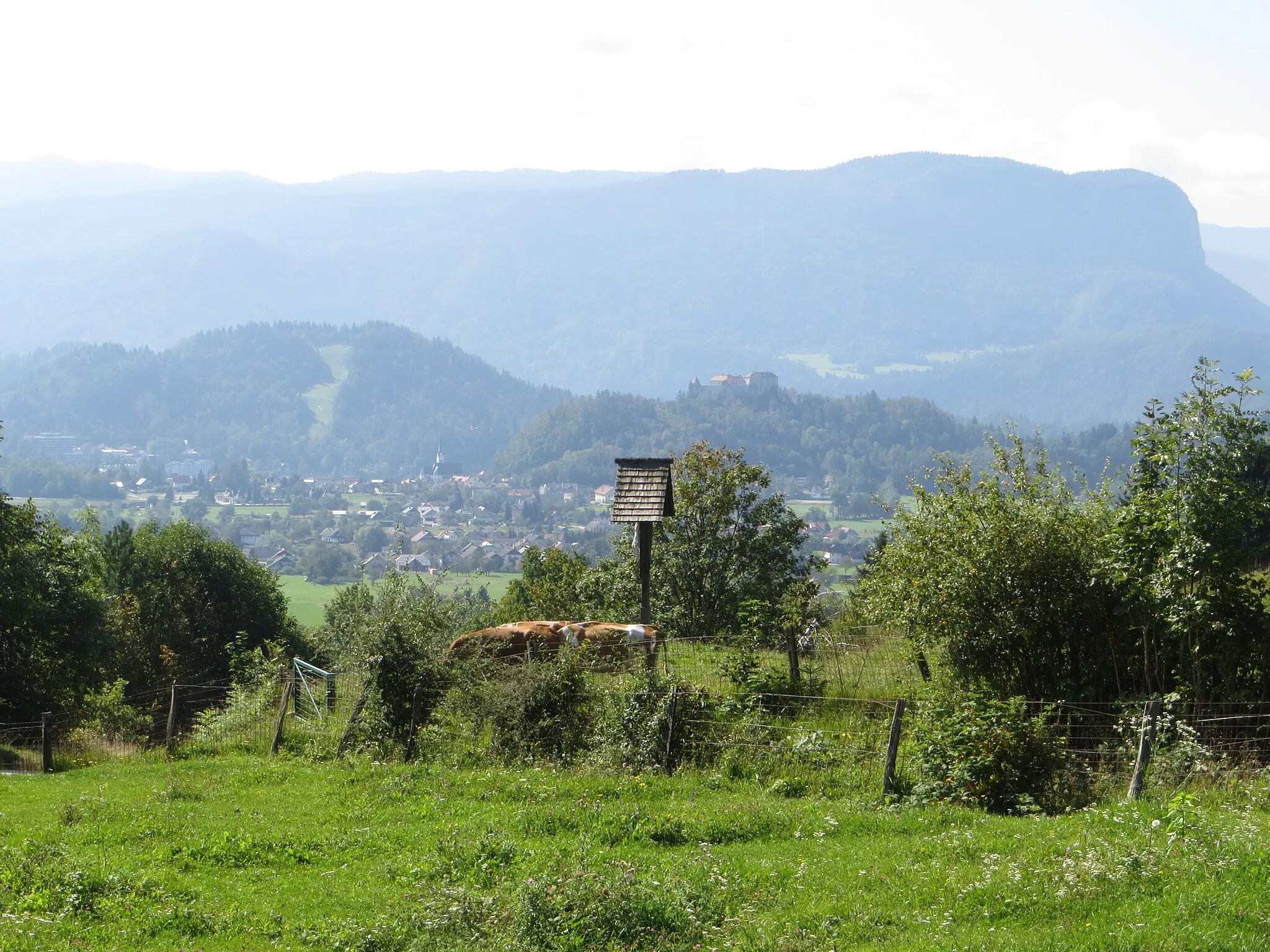 Photo showing: Above Bled