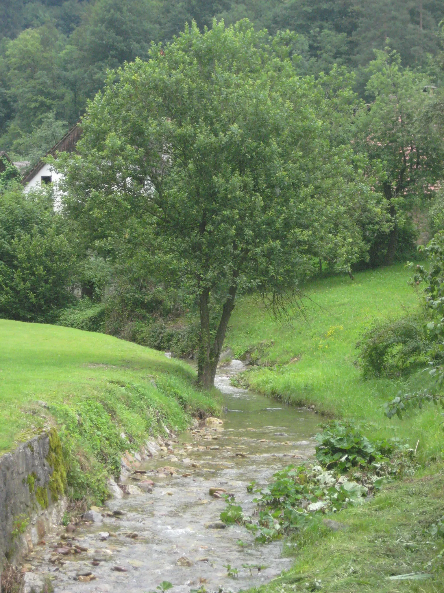 Photo showing: Podlipščica, creek/stream in Slovenia